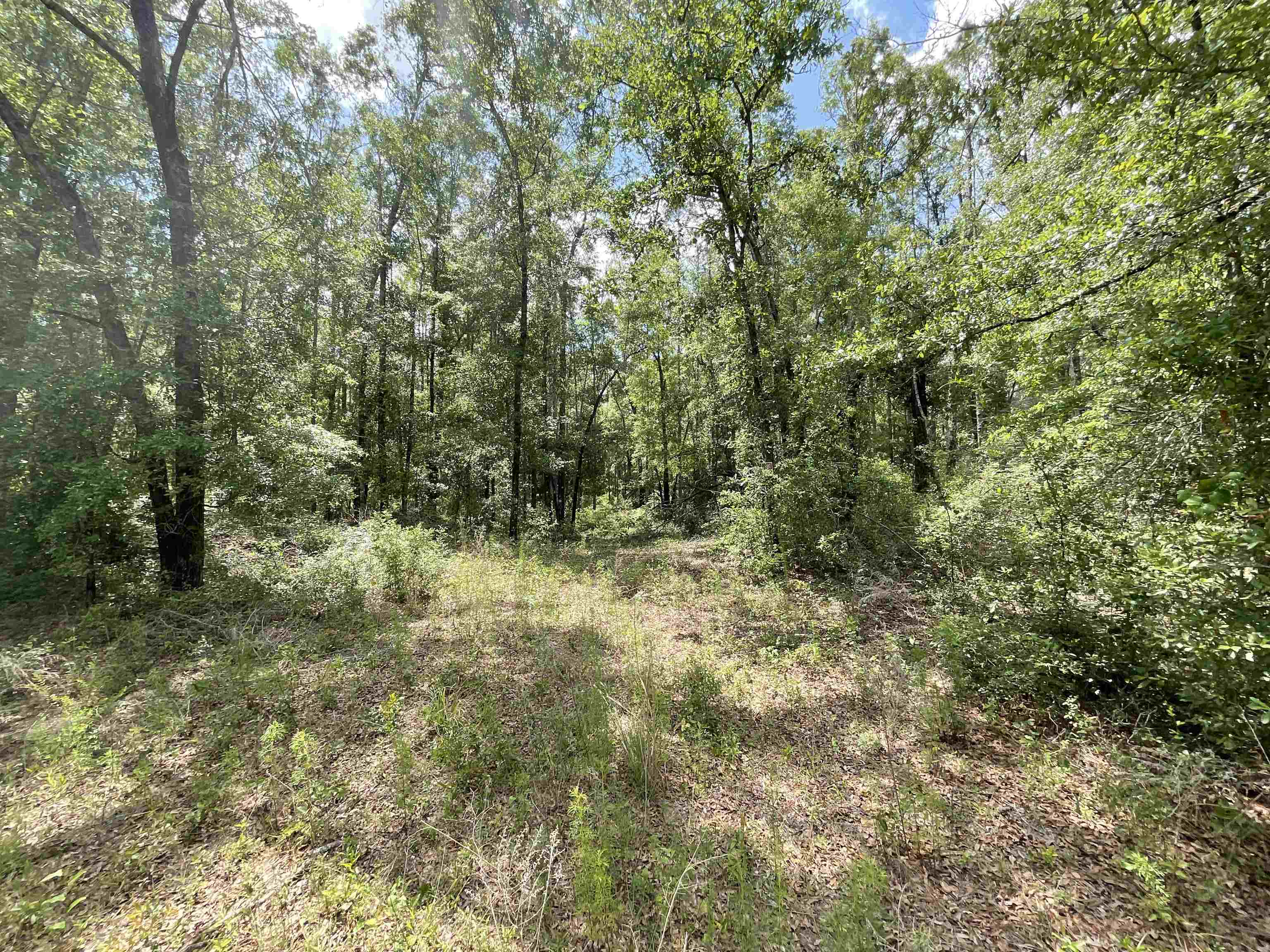 Vacant NW Sapphire Trail, Jennings, Florida image 41