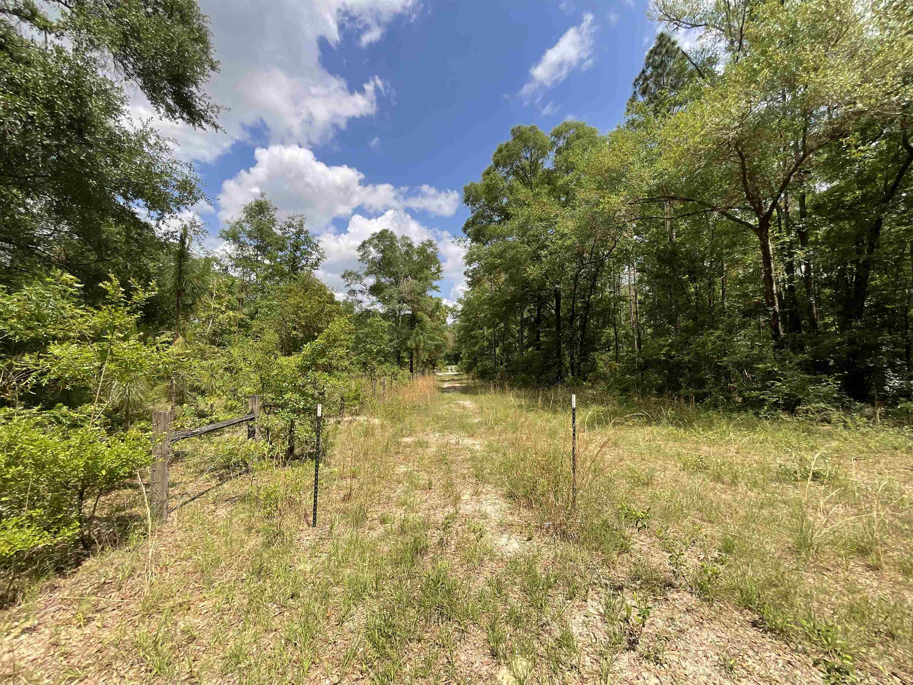 Vacant NW Sapphire Trail, Jennings, Florida image 42