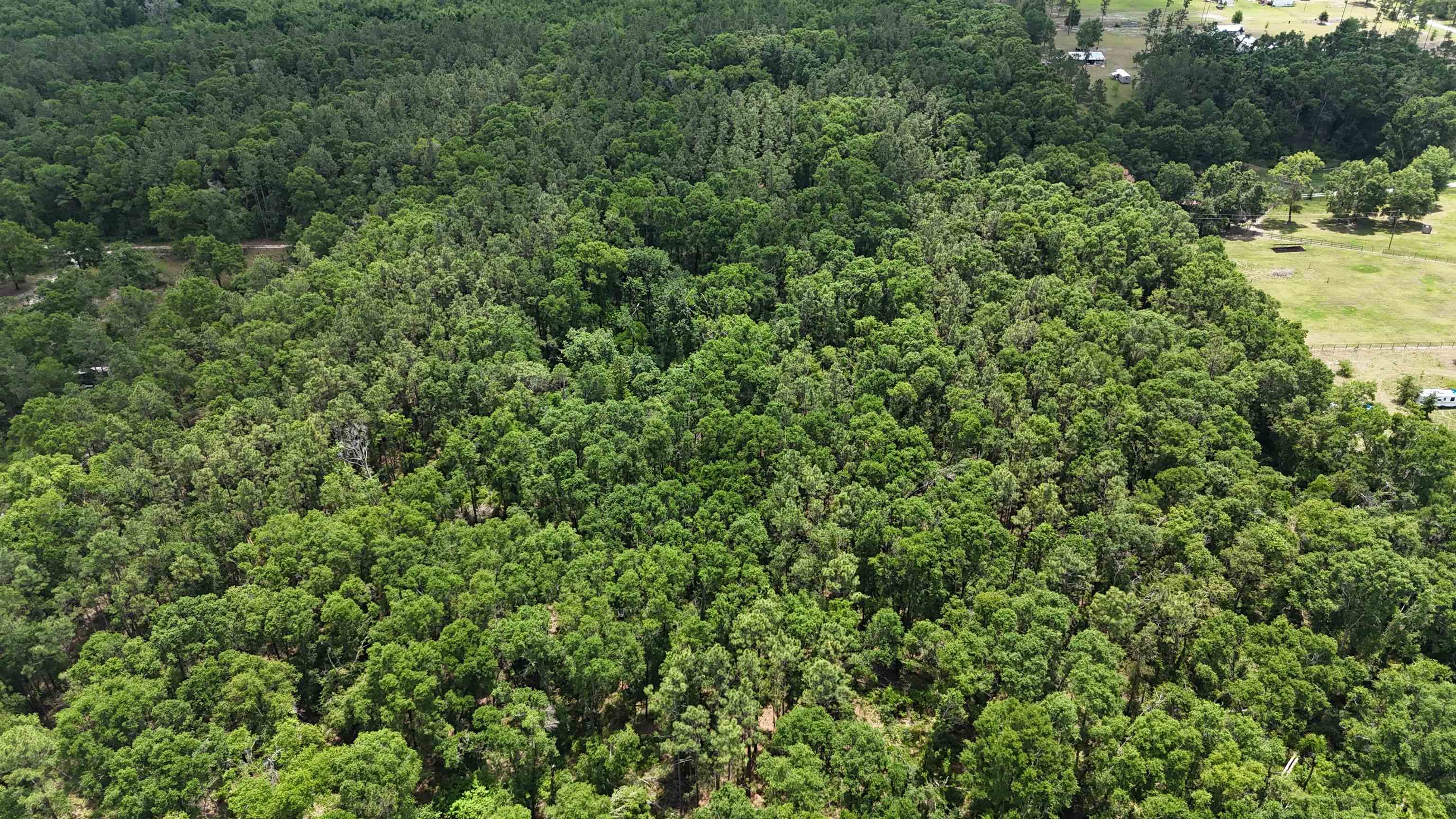 Vacant NW Sapphire Trail, Jennings, Florida image 6