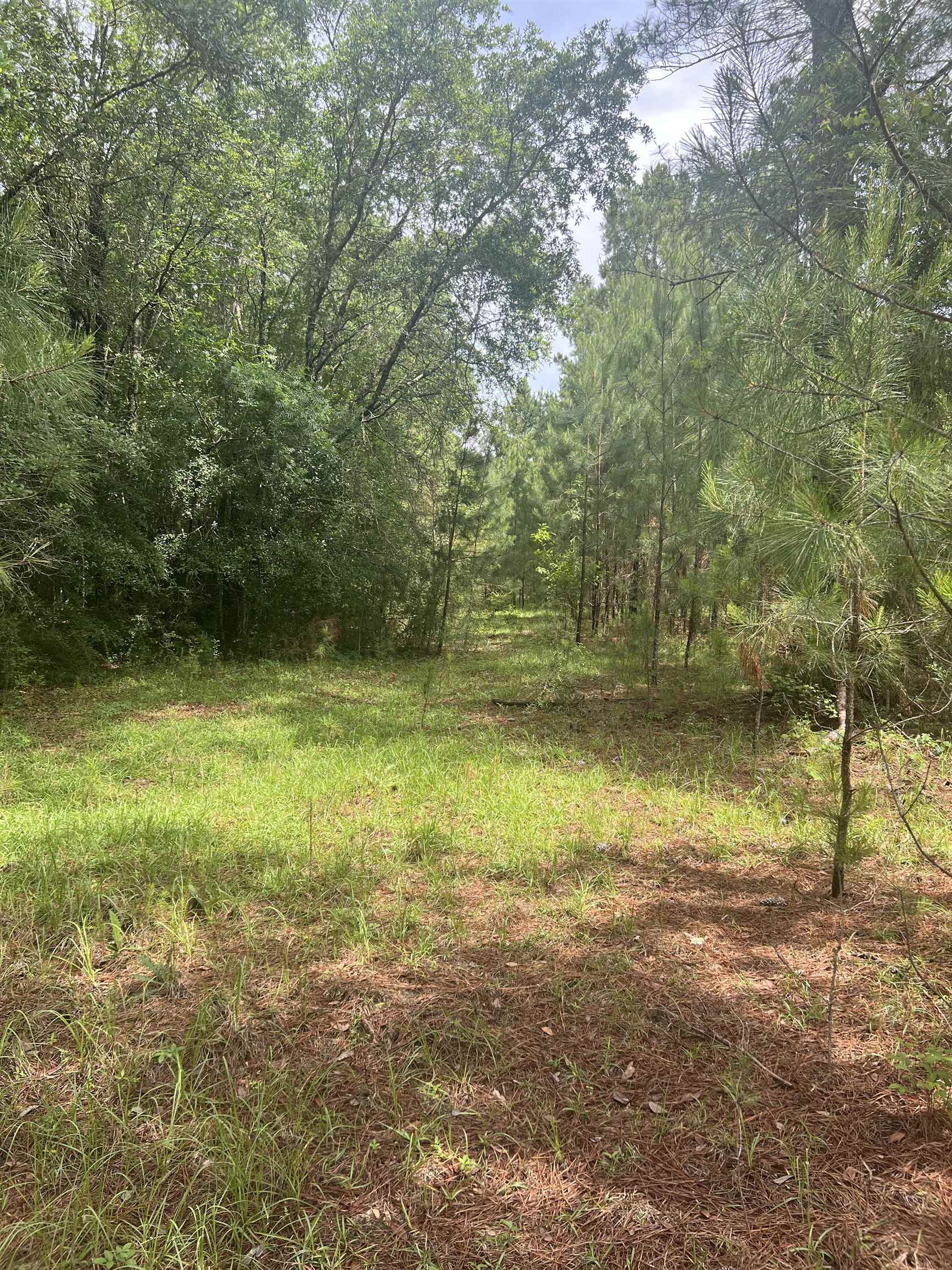 XX Orchard Road, Quincy, Florida image 10
