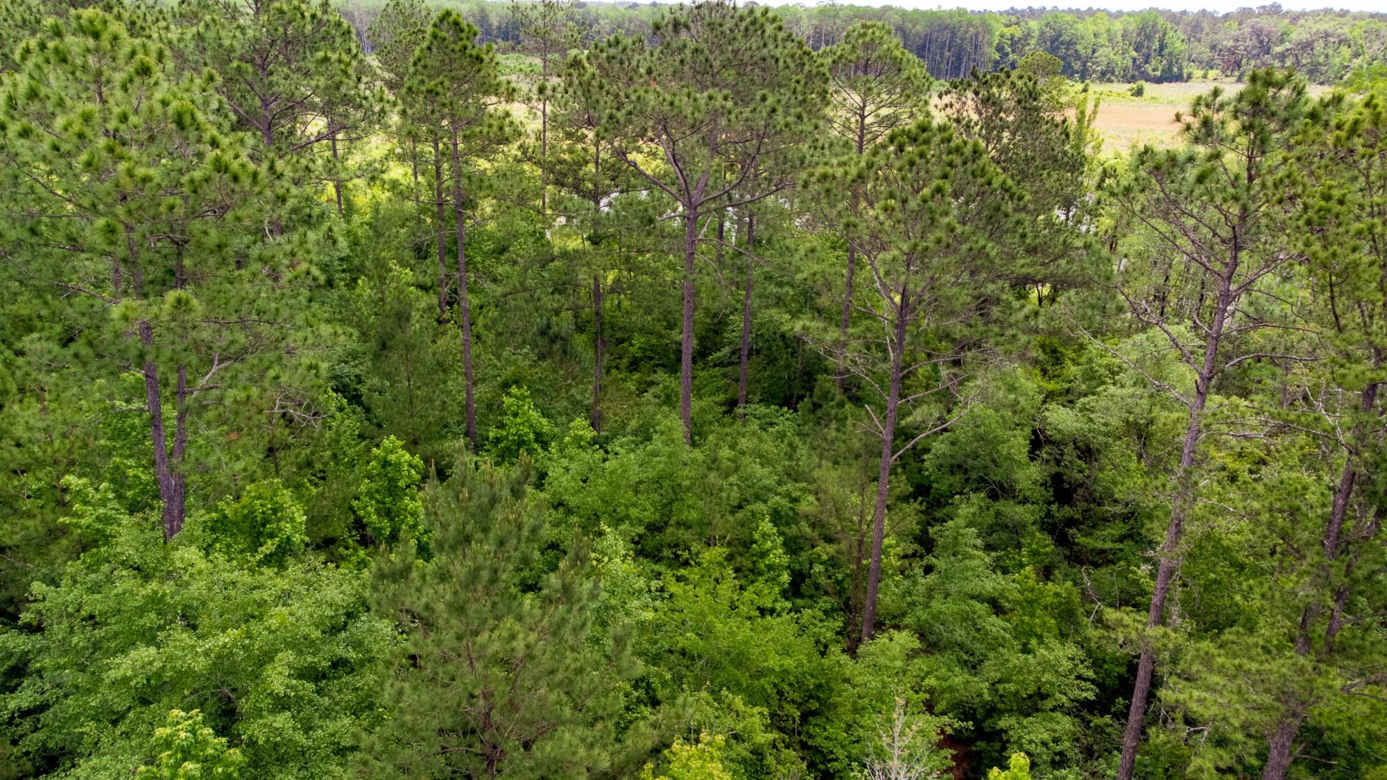 000 S Salt Road, MONTICELLO, Florida image 3