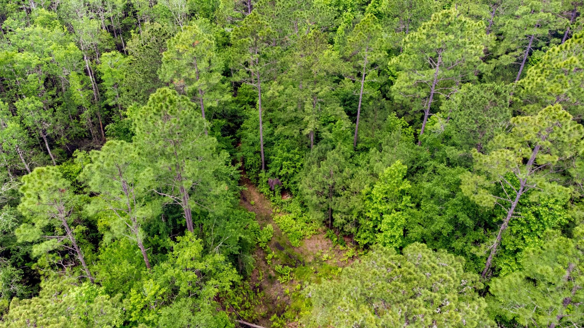 000 S Salt Road, MONTICELLO, Florida image 6