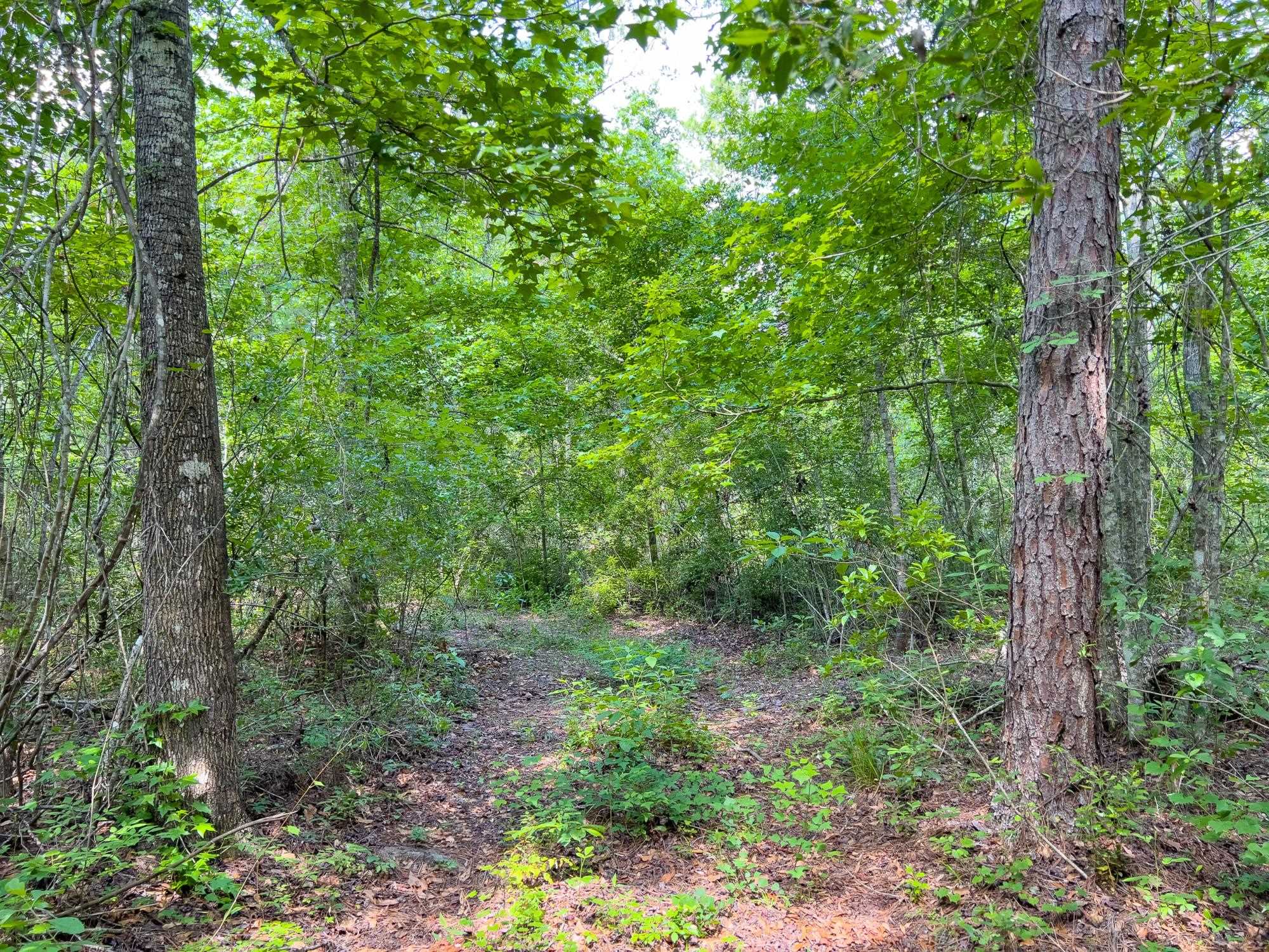 S Salt Road, MONTICELLO, Florida image 9