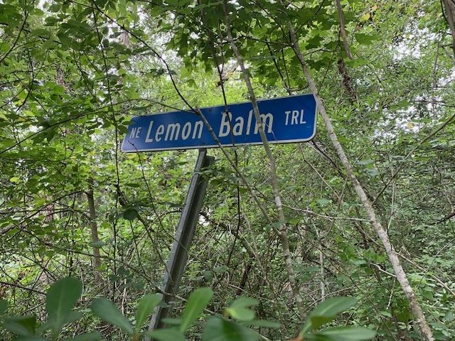 Vacant NE Lemon Balm Trail, LEE, Florida image 14