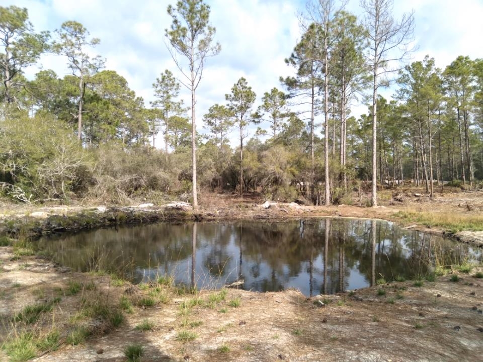 Xxx Smith Avenue, Carrabelle, Florida image 4