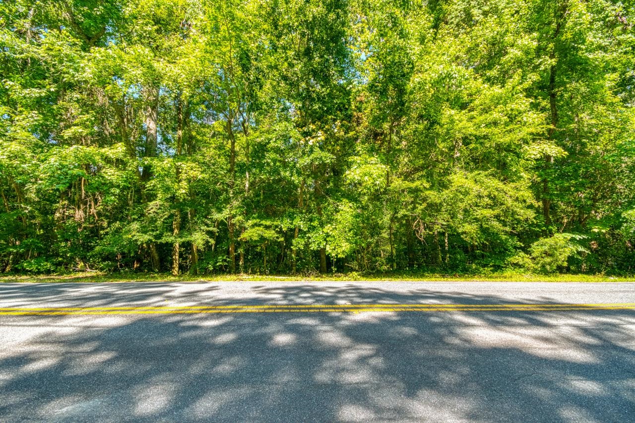 Timberlane School Road, Tallahassee, Florida image 1