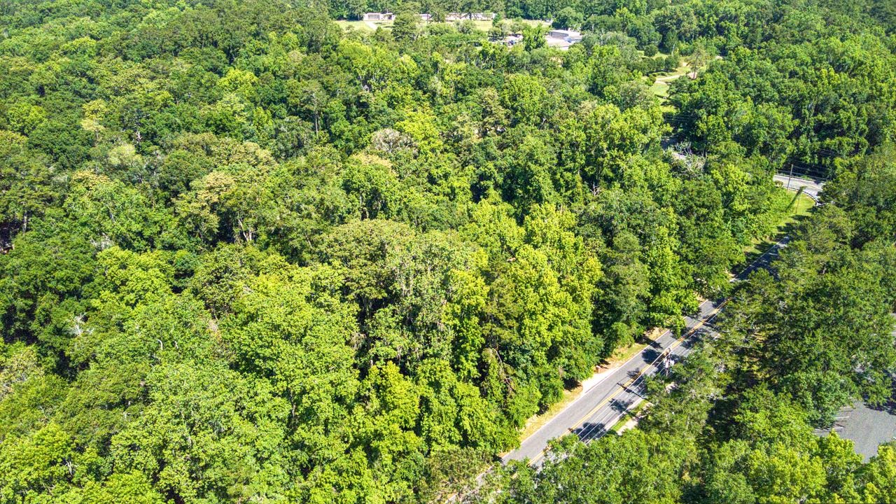 Timberlane School Road, Tallahassee, Florida image 3