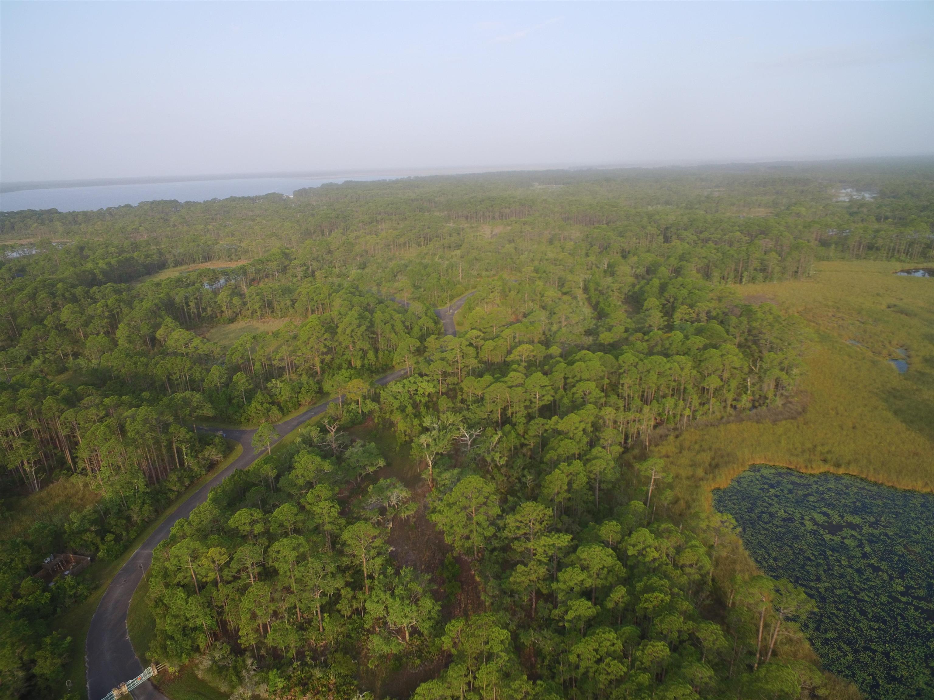 Lot 78 Hidden Pond Lane, Panacea, Florida image 6