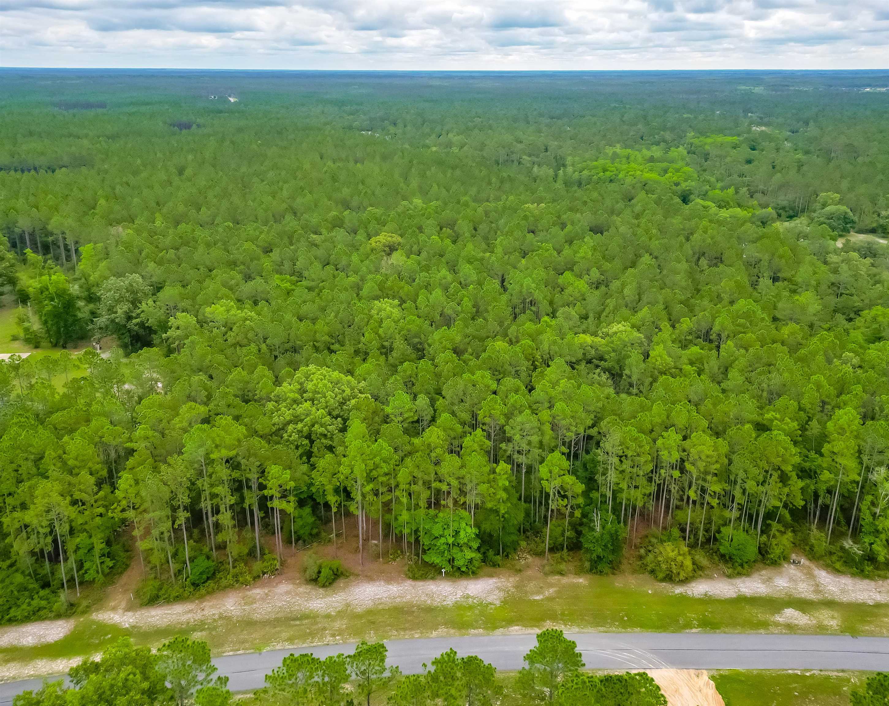 Saddle Rope Trail, Tallahassee, Florida image 12