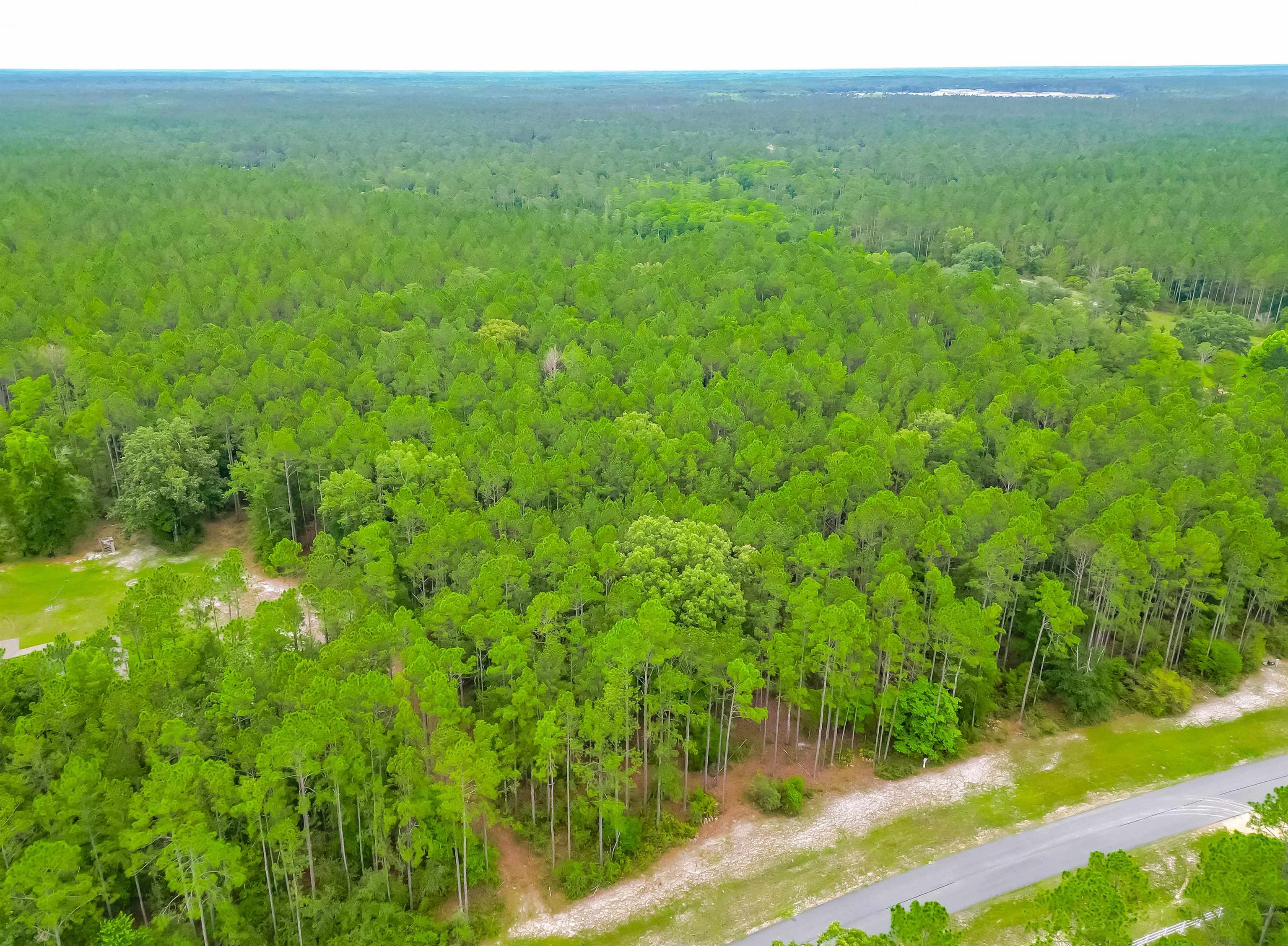 Saddle Rope Trail, Tallahassee, Florida image 13