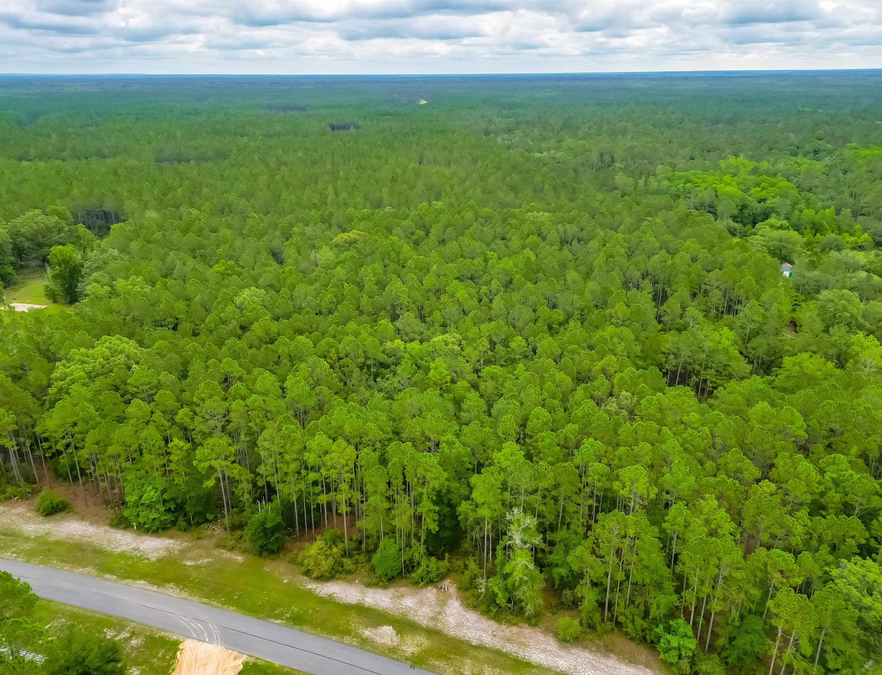 Saddle Rope Trail, Tallahassee, Florida image 14