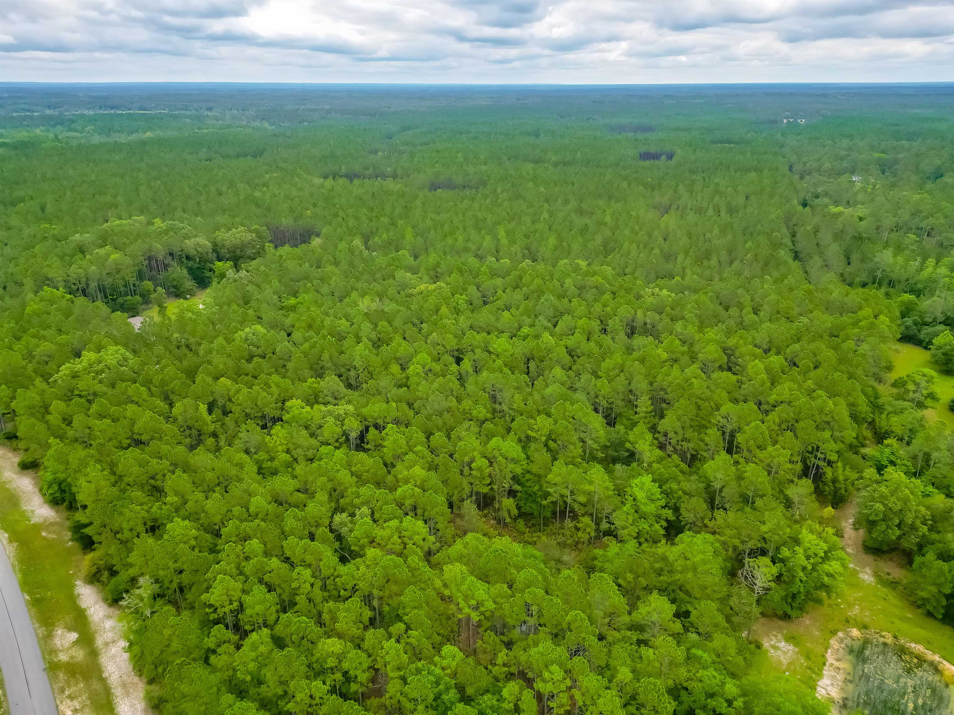 Saddle Rope Trail, Tallahassee, Florida image 15