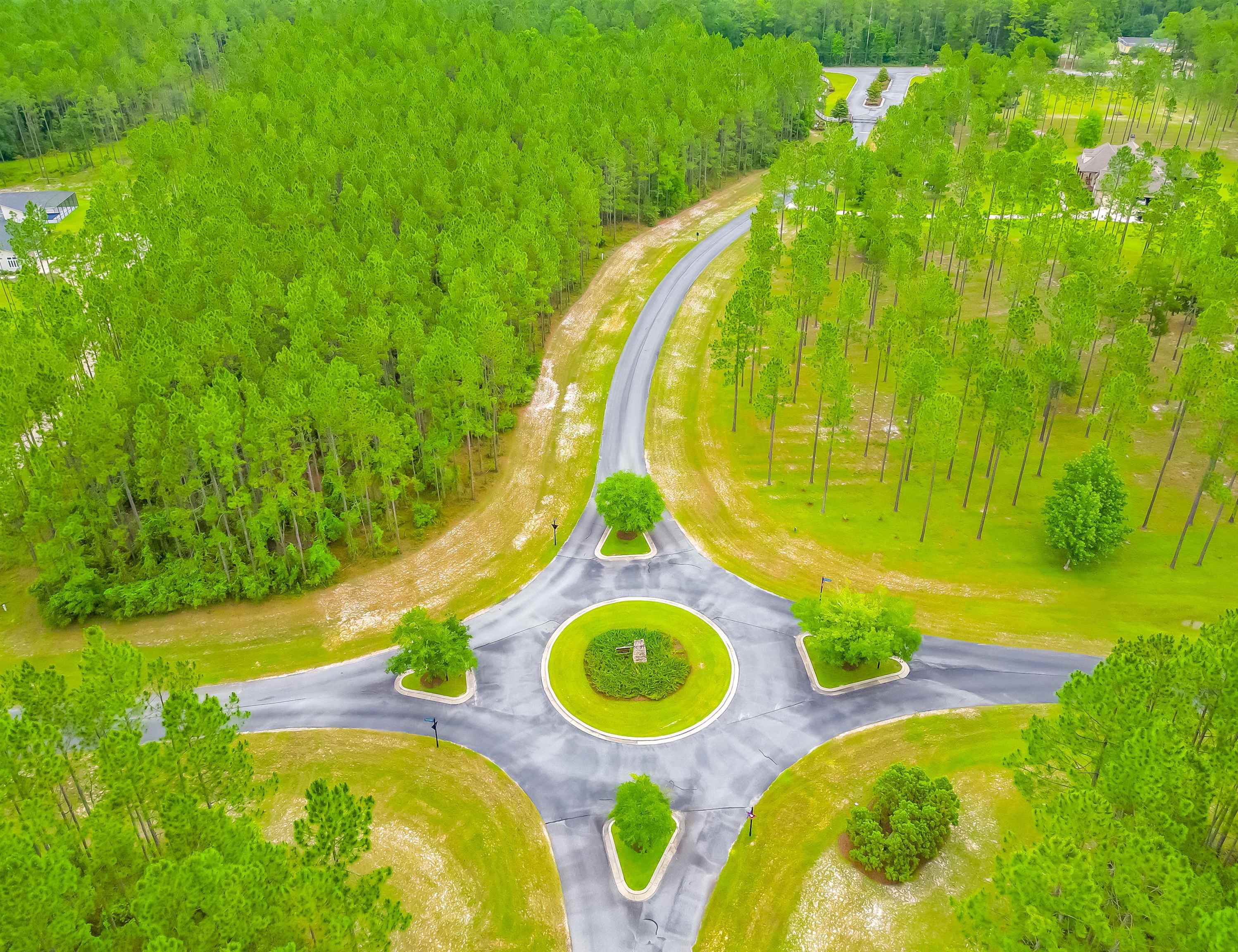 Saddle Rope Trail, Tallahassee, Florida image 7