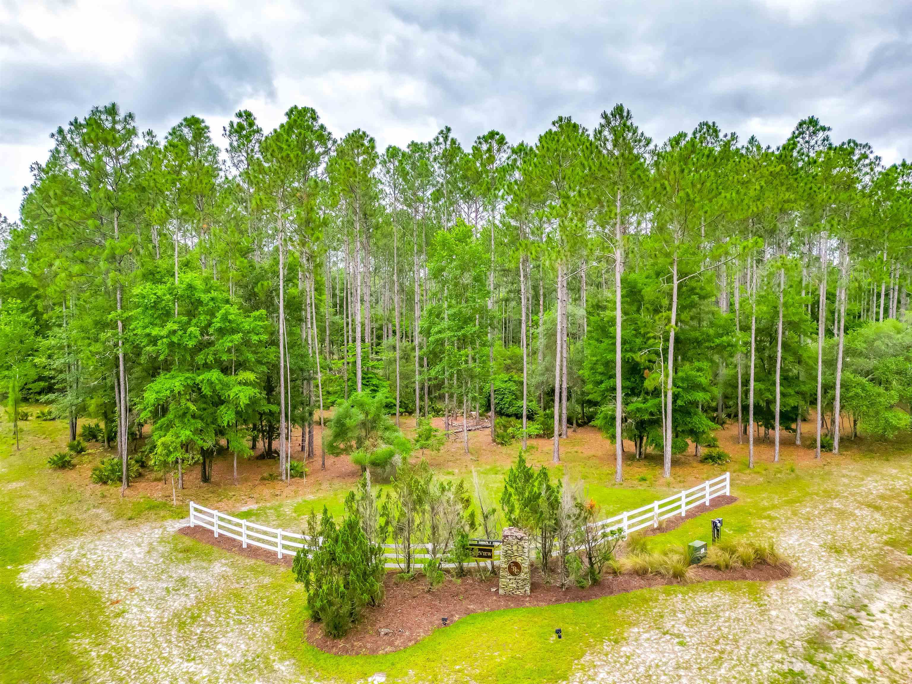 Saddle Rope Trail, Tallahassee, Florida image 8