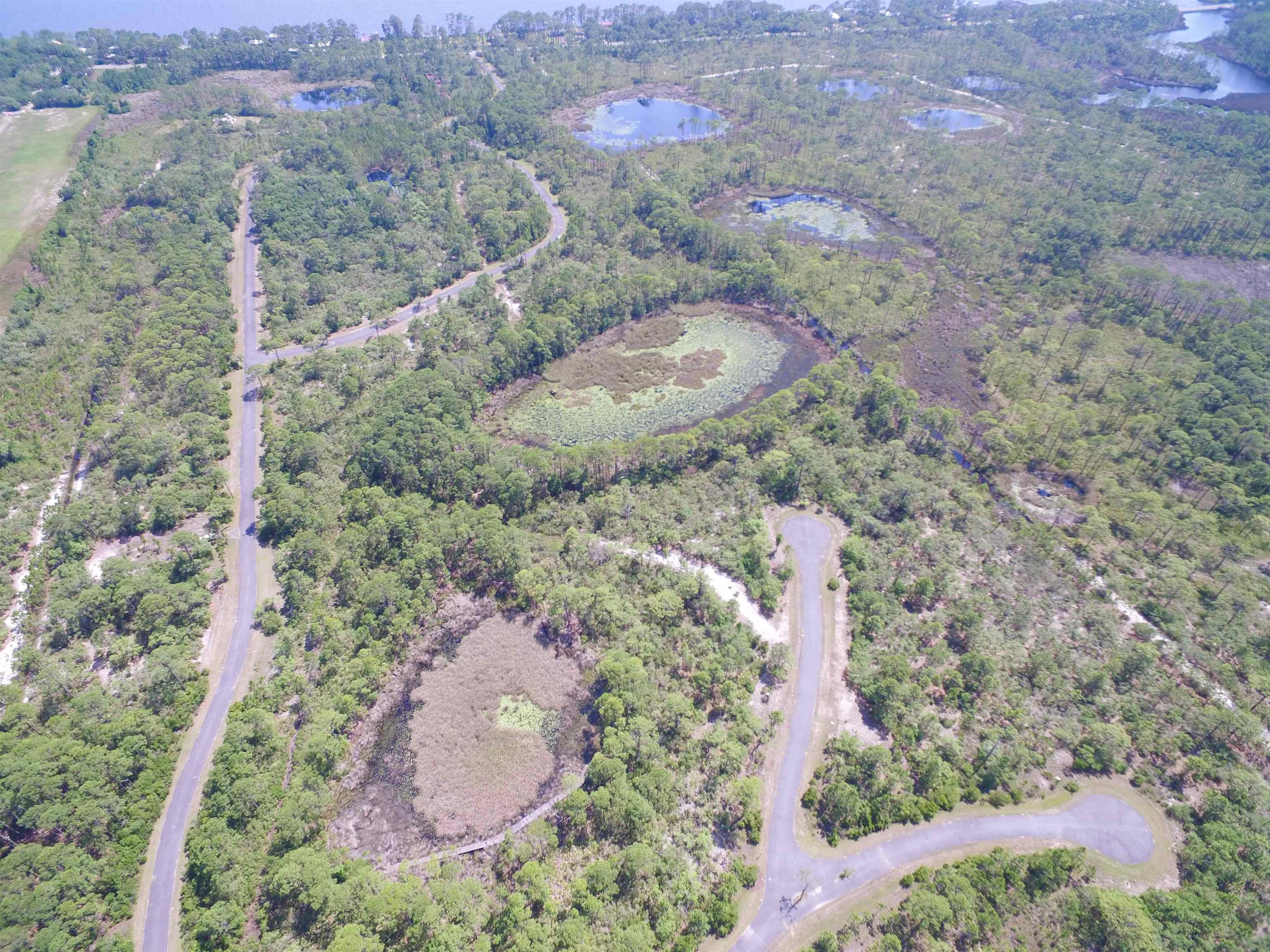 Lot 86 Hidden Pond Lane, Panacea, Florida image 6