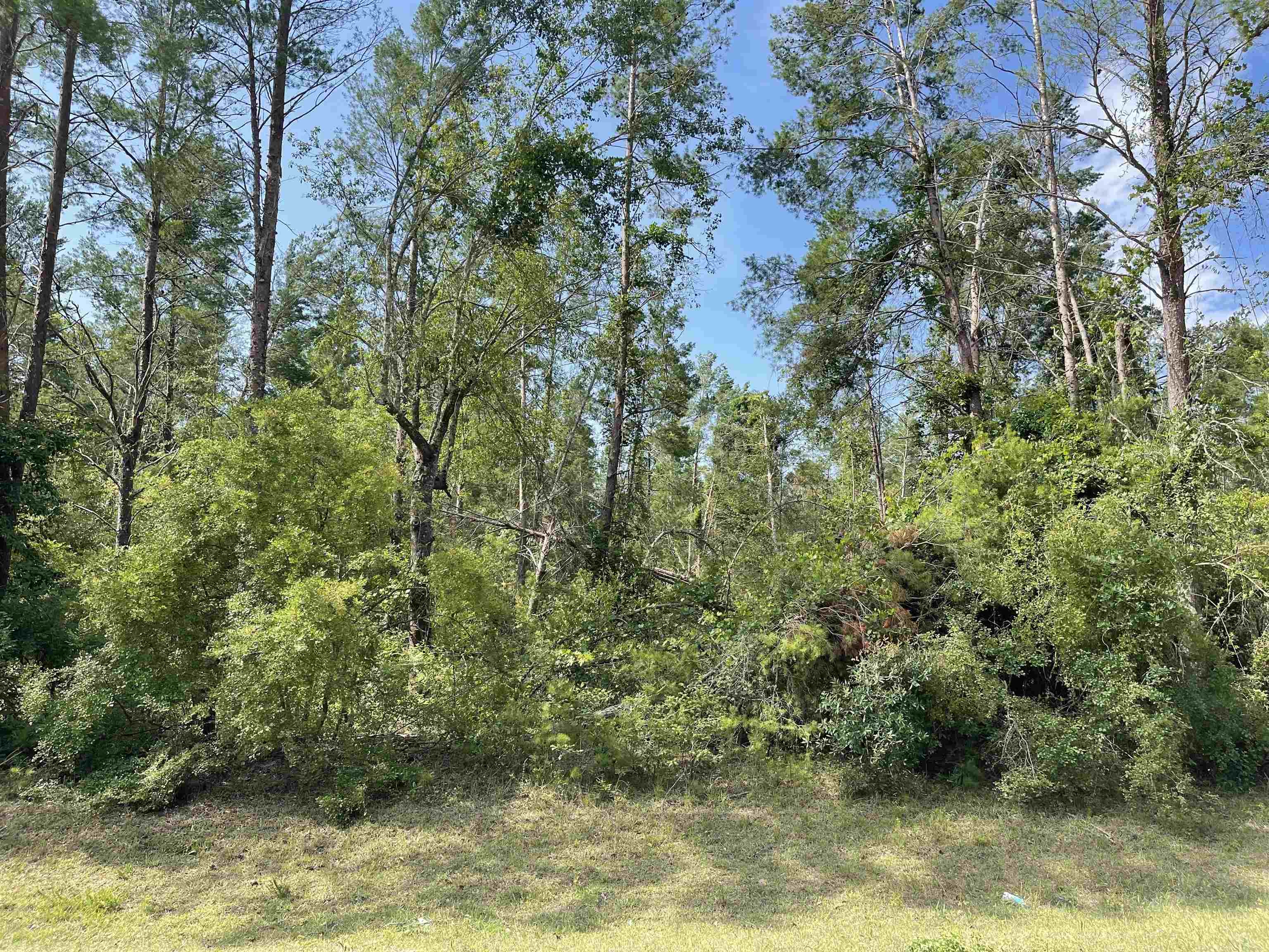 Vacant SE Baldwin Drive, LEE, Florida image 6