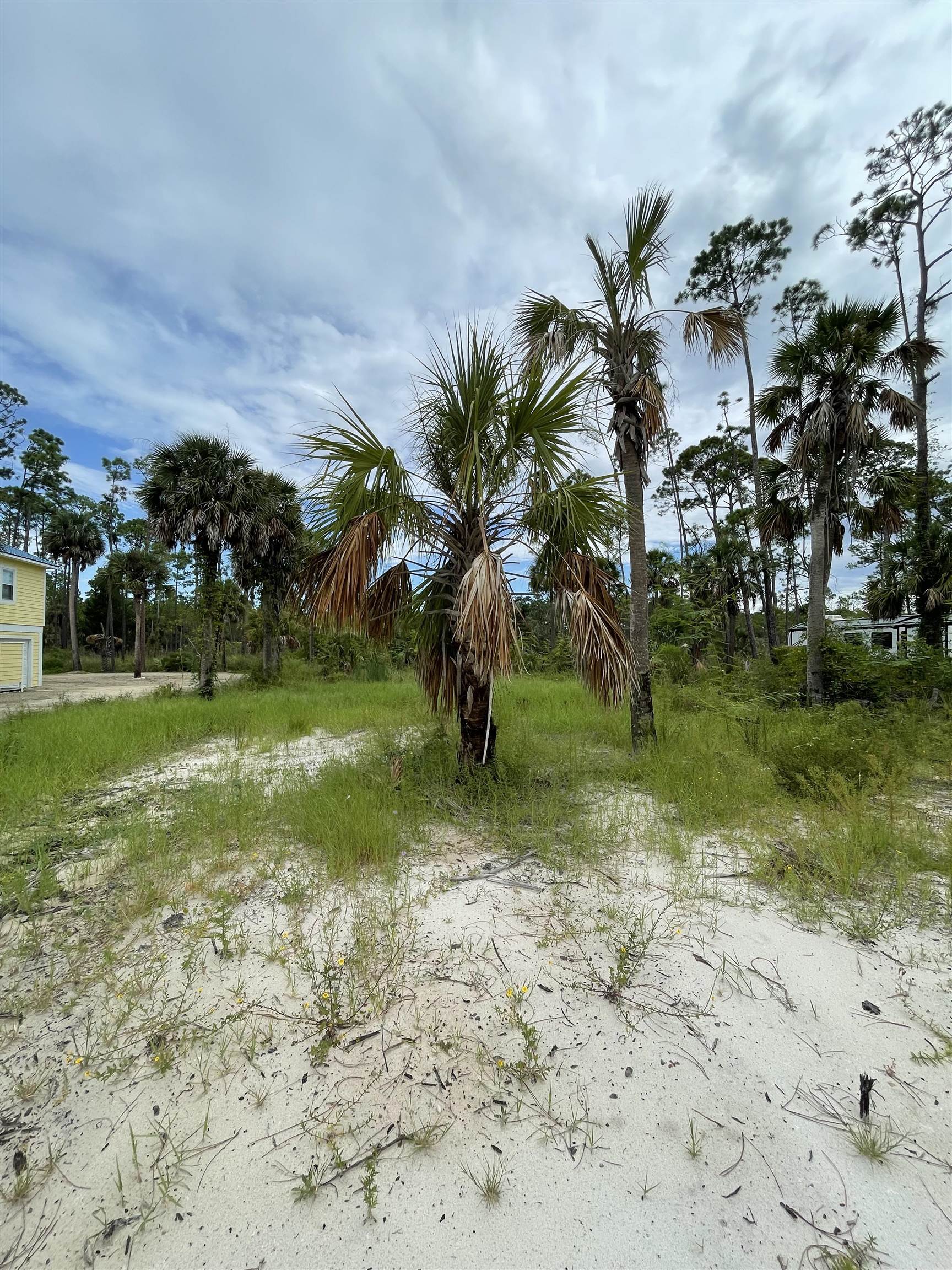 7951 Cr 30a Road, Port St Joe, Florida image 6