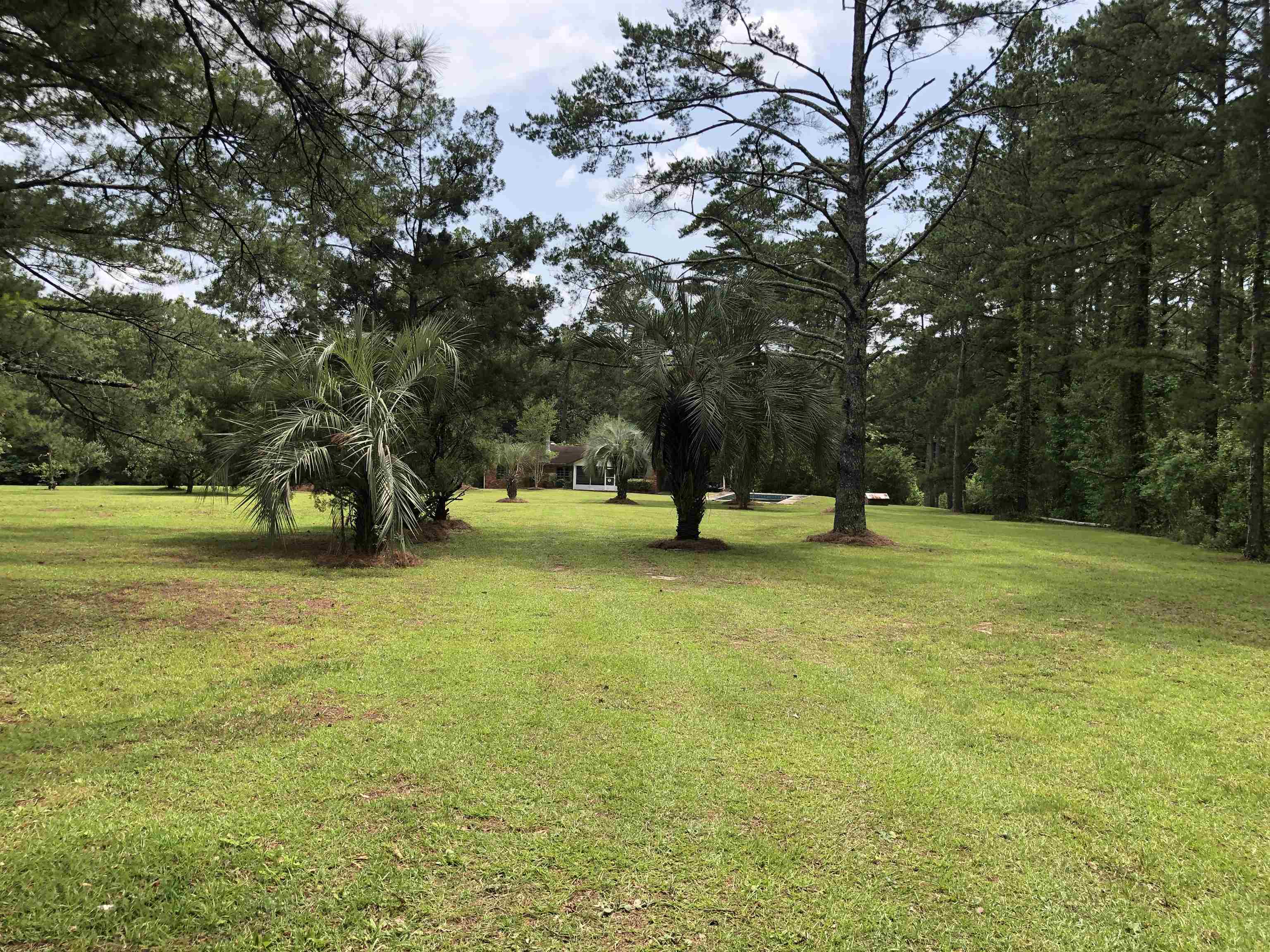 1450 Deer Run Road, Havana, Florida image 15