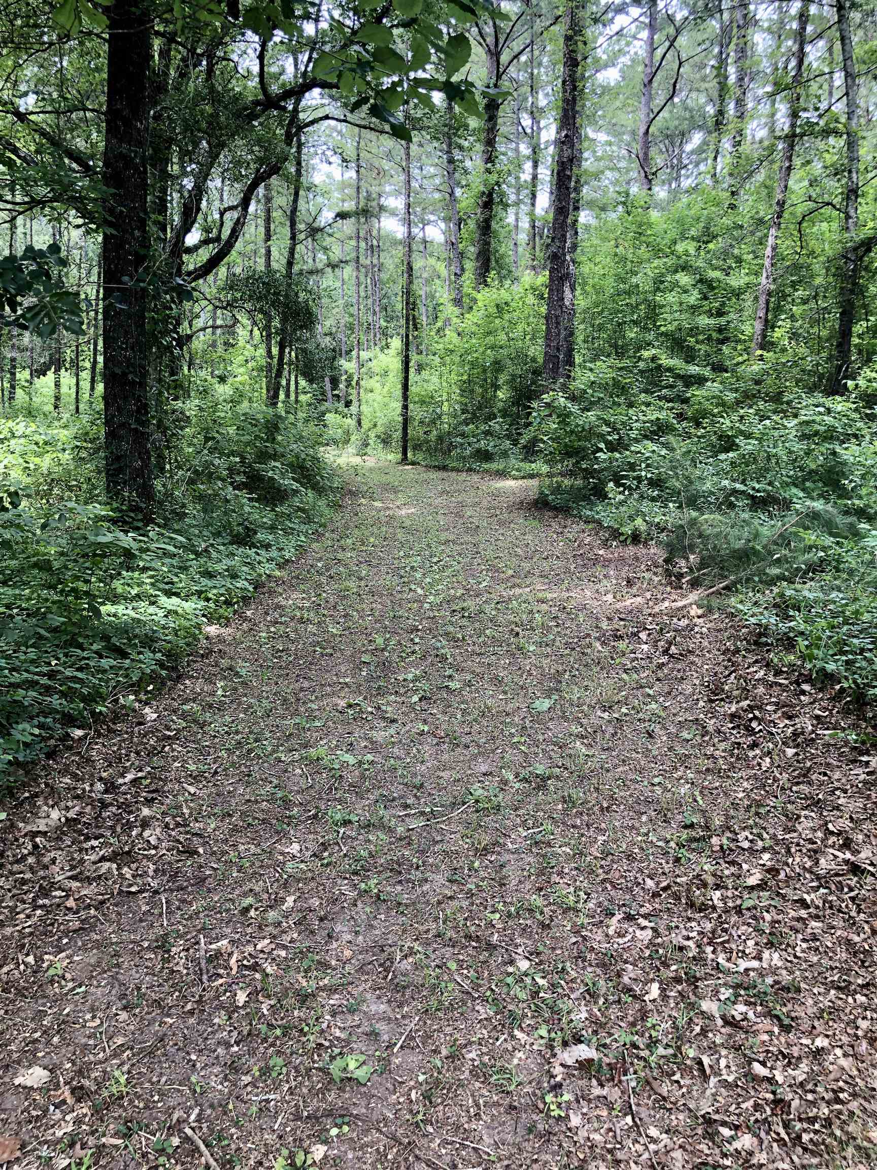 1450 Deer Run Road, Havana, Florida image 16
