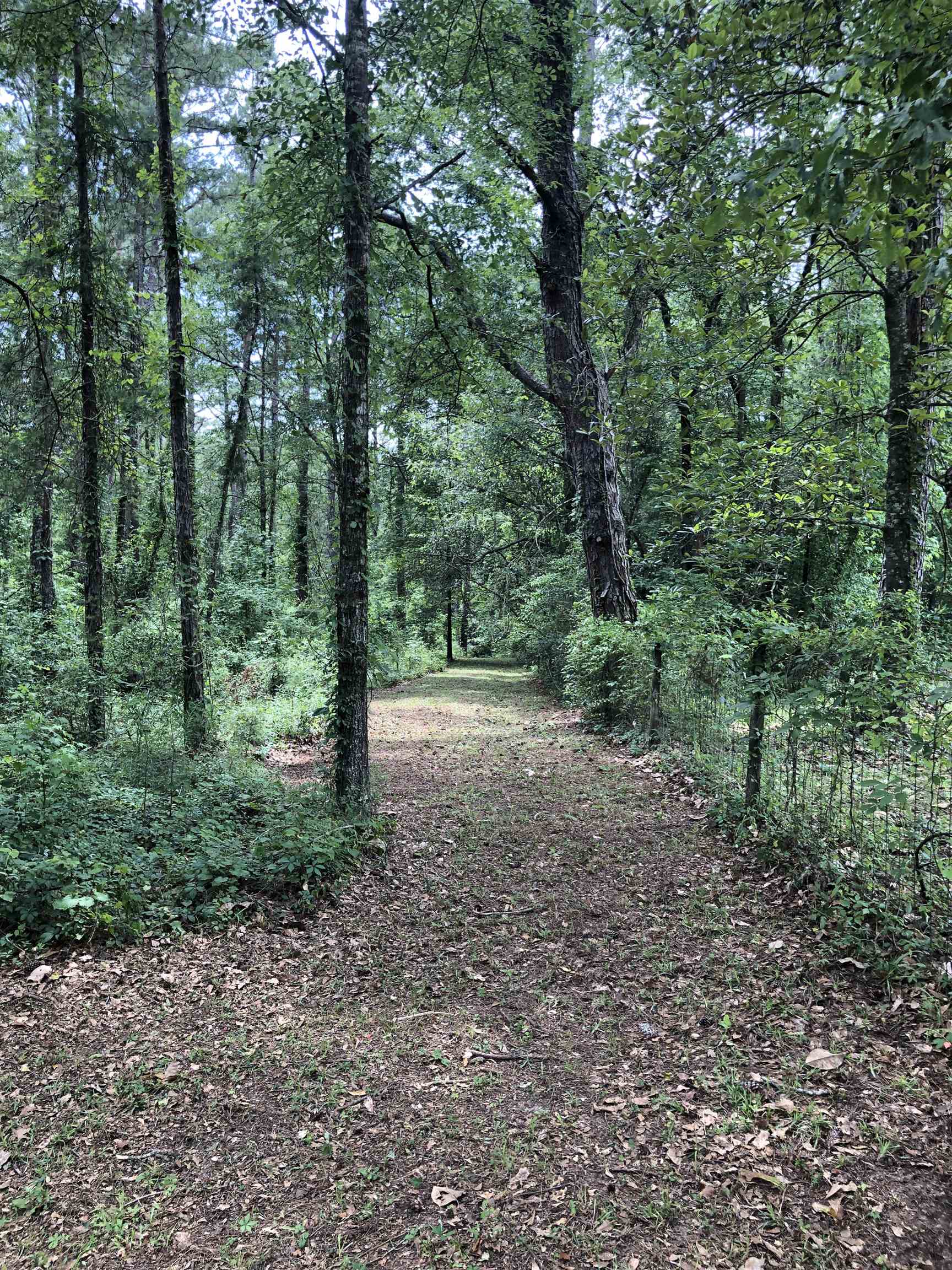 1450 Deer Run Road, Havana, Florida image 17