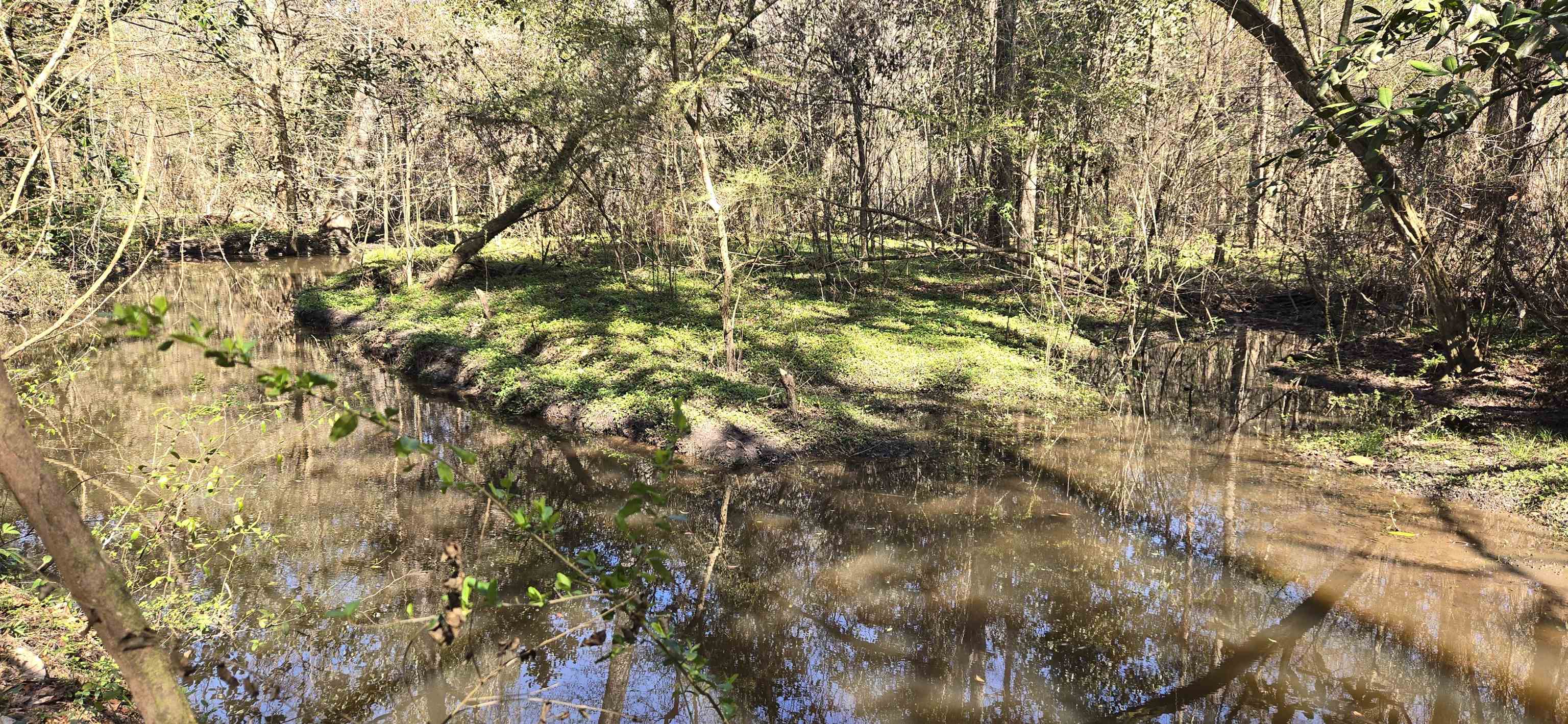 1450 Deer Run Road, Havana, Florida image 18