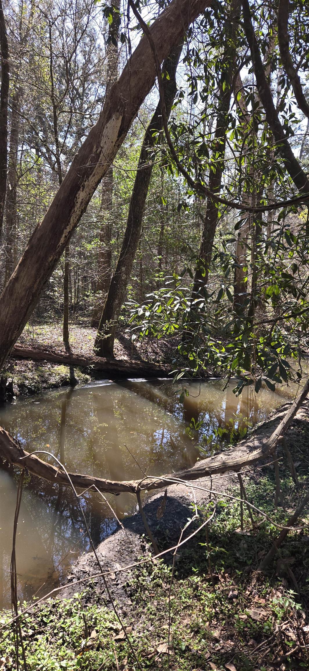 1450 Deer Run Road, Havana, Florida image 19
