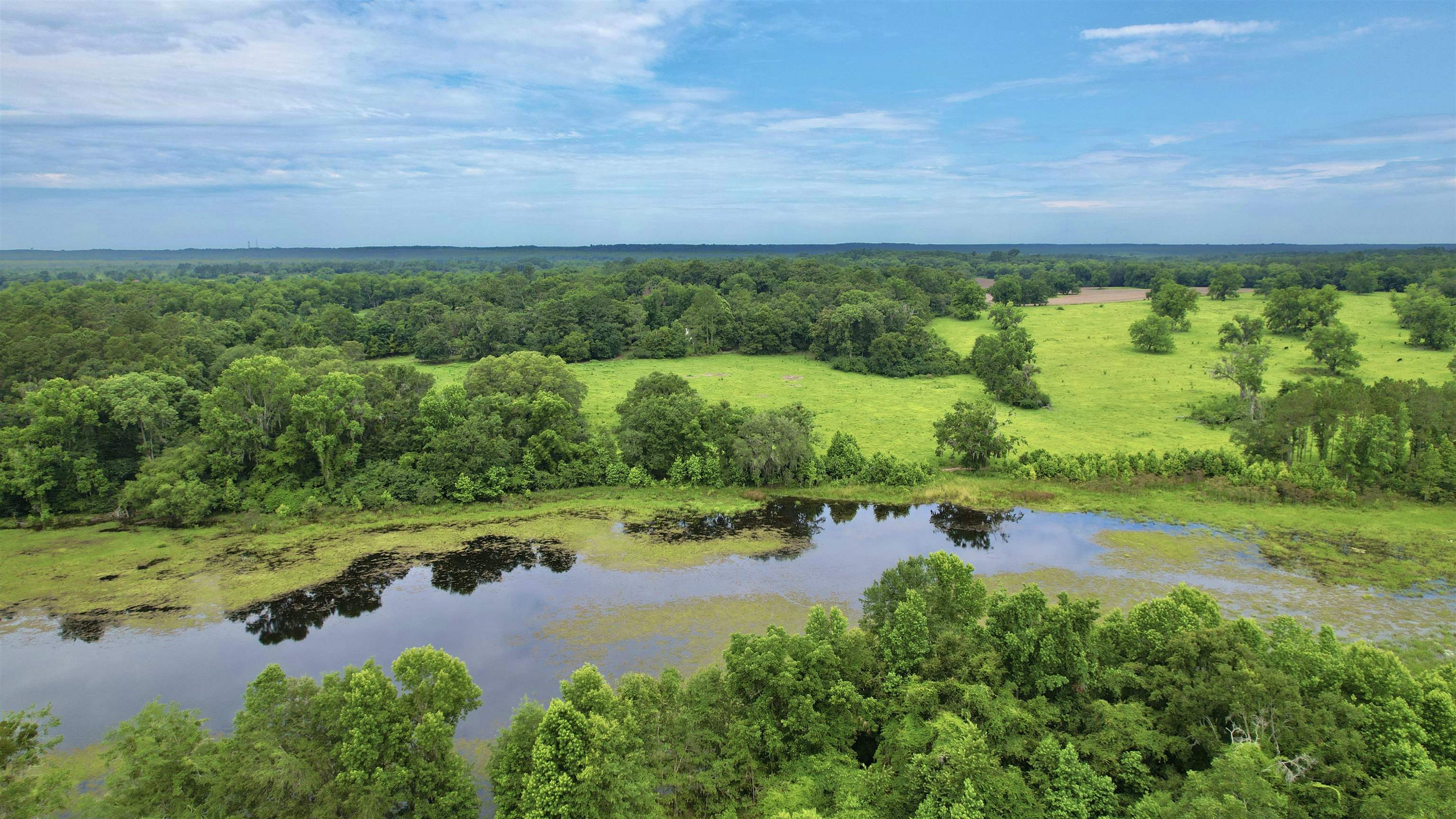 Bassett Dairy Road, MONTICELLO, Florida image 1