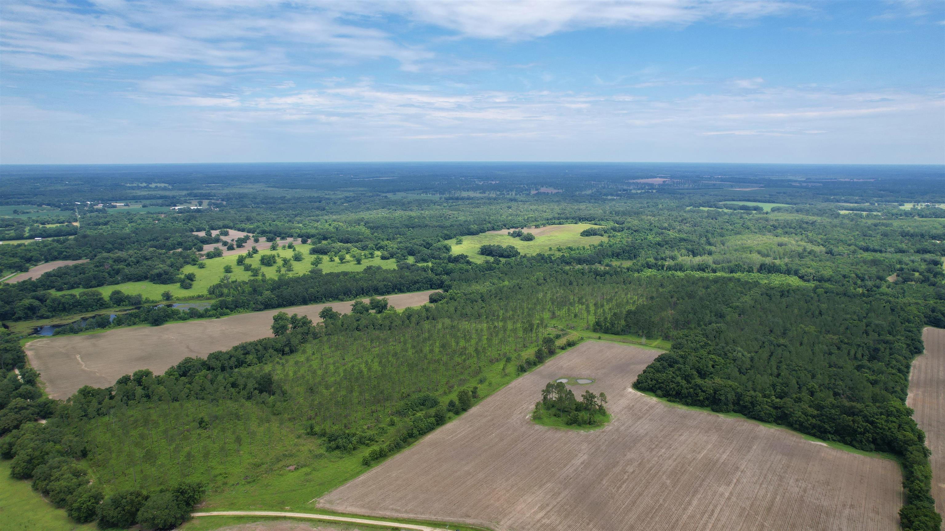 Bassett Dairy Road, MONTICELLO, Florida image 4