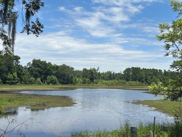 Bassett Dairy Road, MONTICELLO, Florida image 6