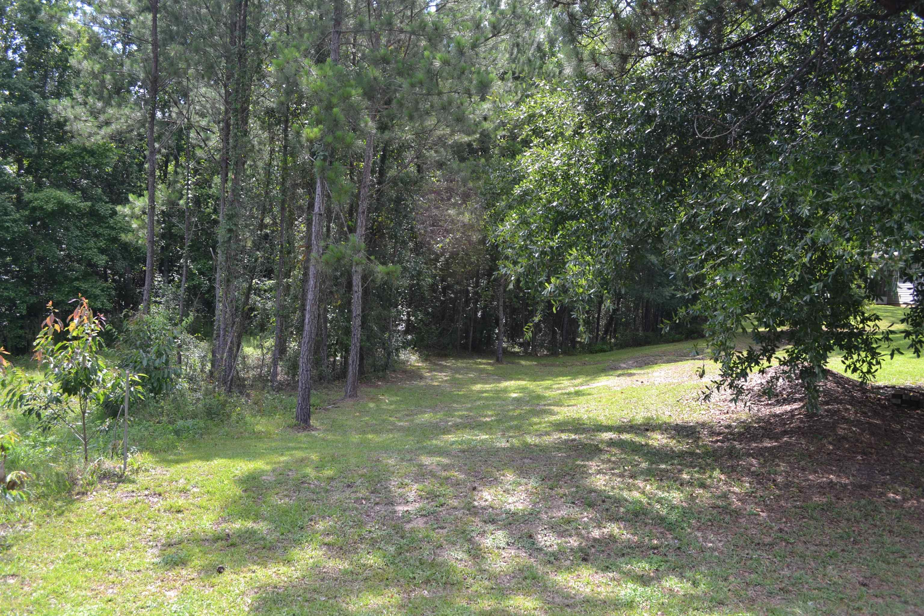 22 Pine Bark Lane, MIDWAY, Florida image 1