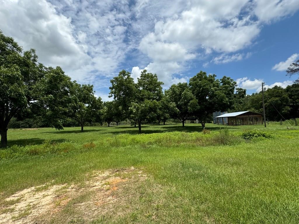 00 Wilcox Road, CAIRO, Georgia image 15