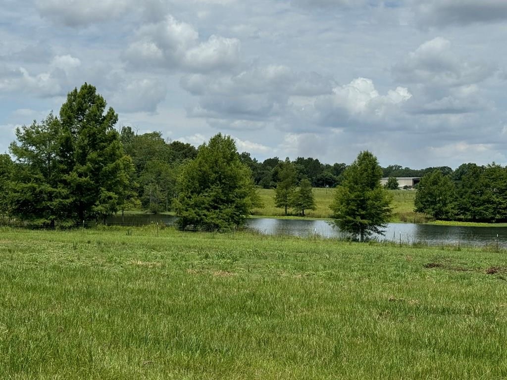 00 Wilcox Road, CAIRO, Georgia image 17