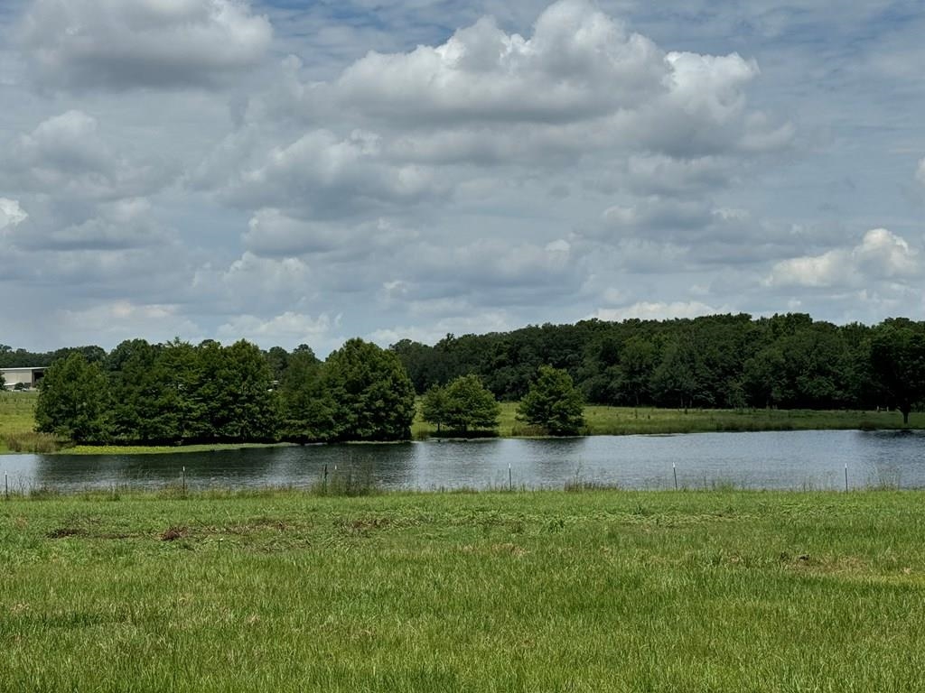 00 Wilcox Road, CAIRO, Georgia image 18