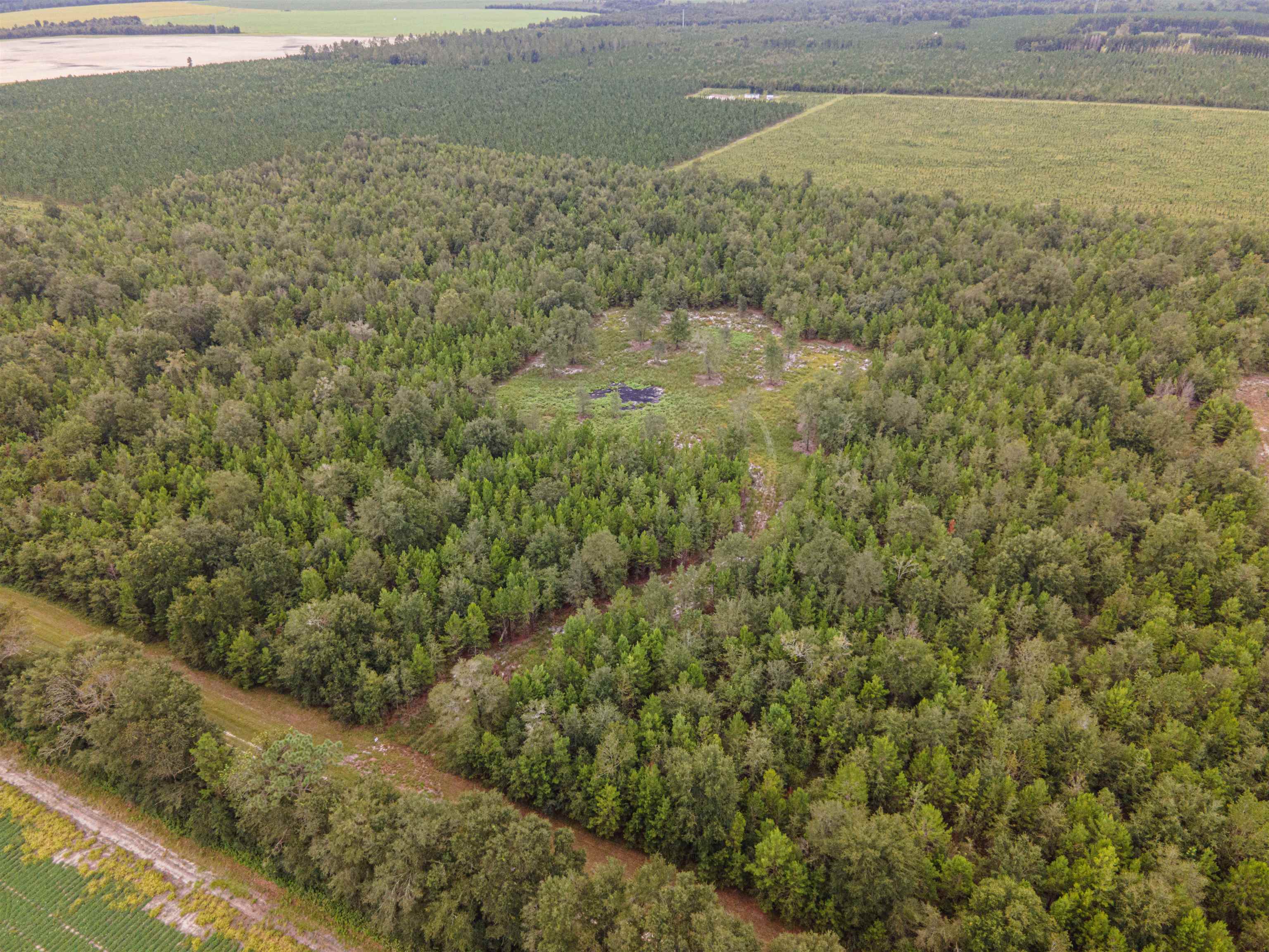 20 AC SE Parliament Trail, LEE, Florida image 2