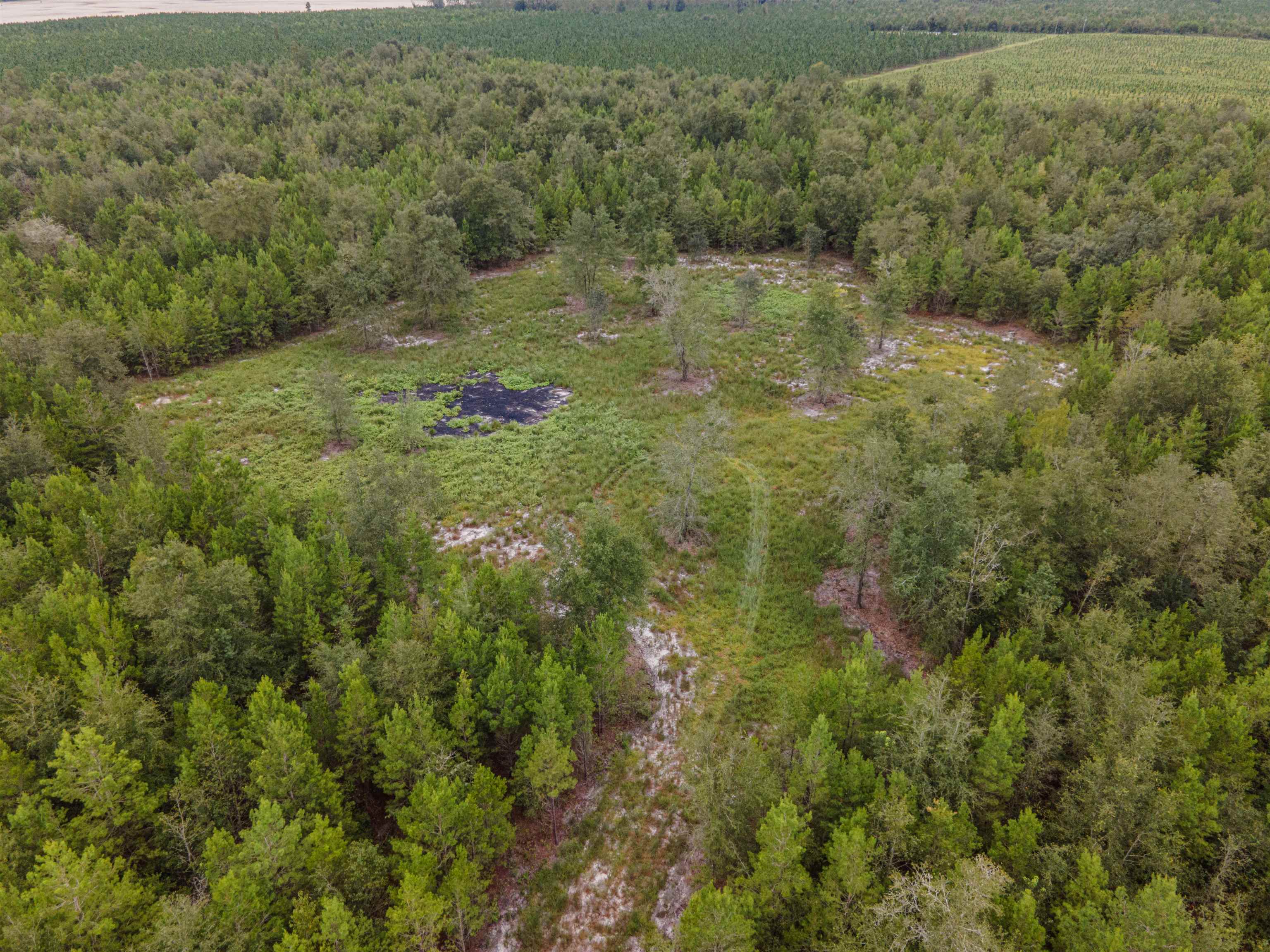 20 AC SE Parliament Trail, LEE, Florida image 3