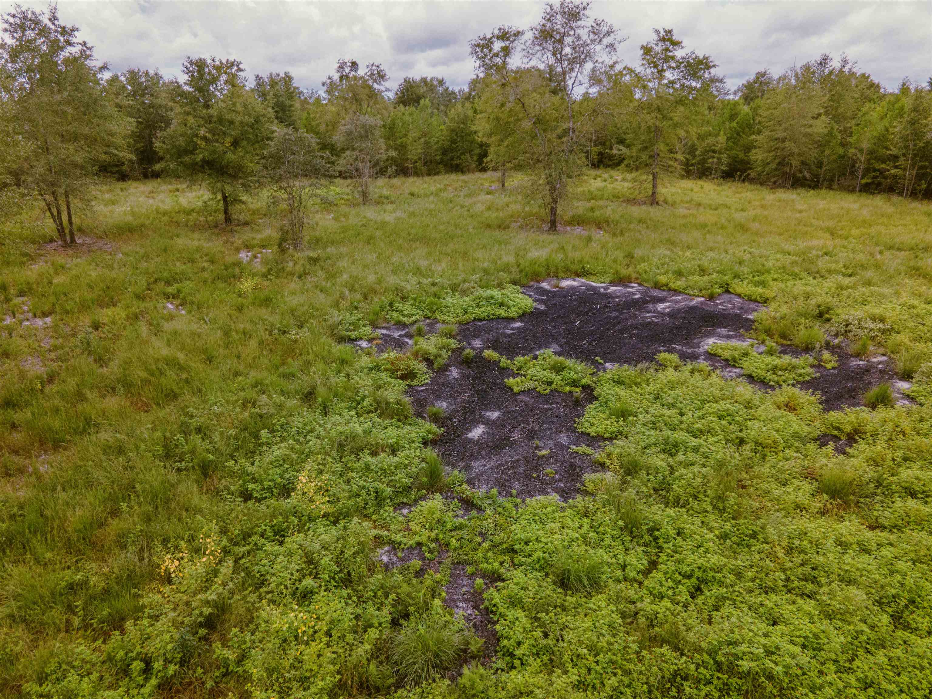 20 AC SE Parliament Trail, LEE, Florida image 4