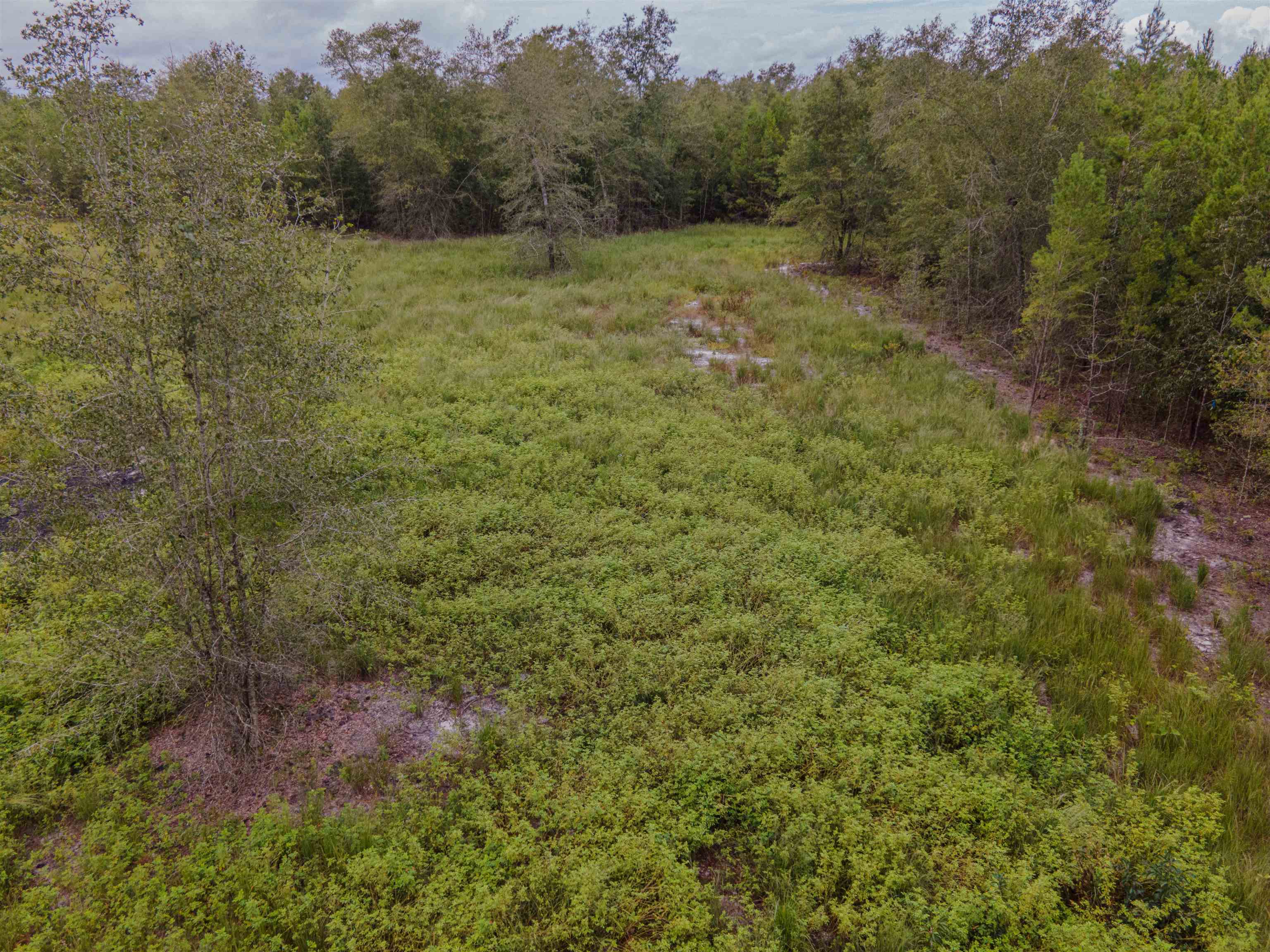 20 AC SE Parliament Trail, Lee, Florida image 5