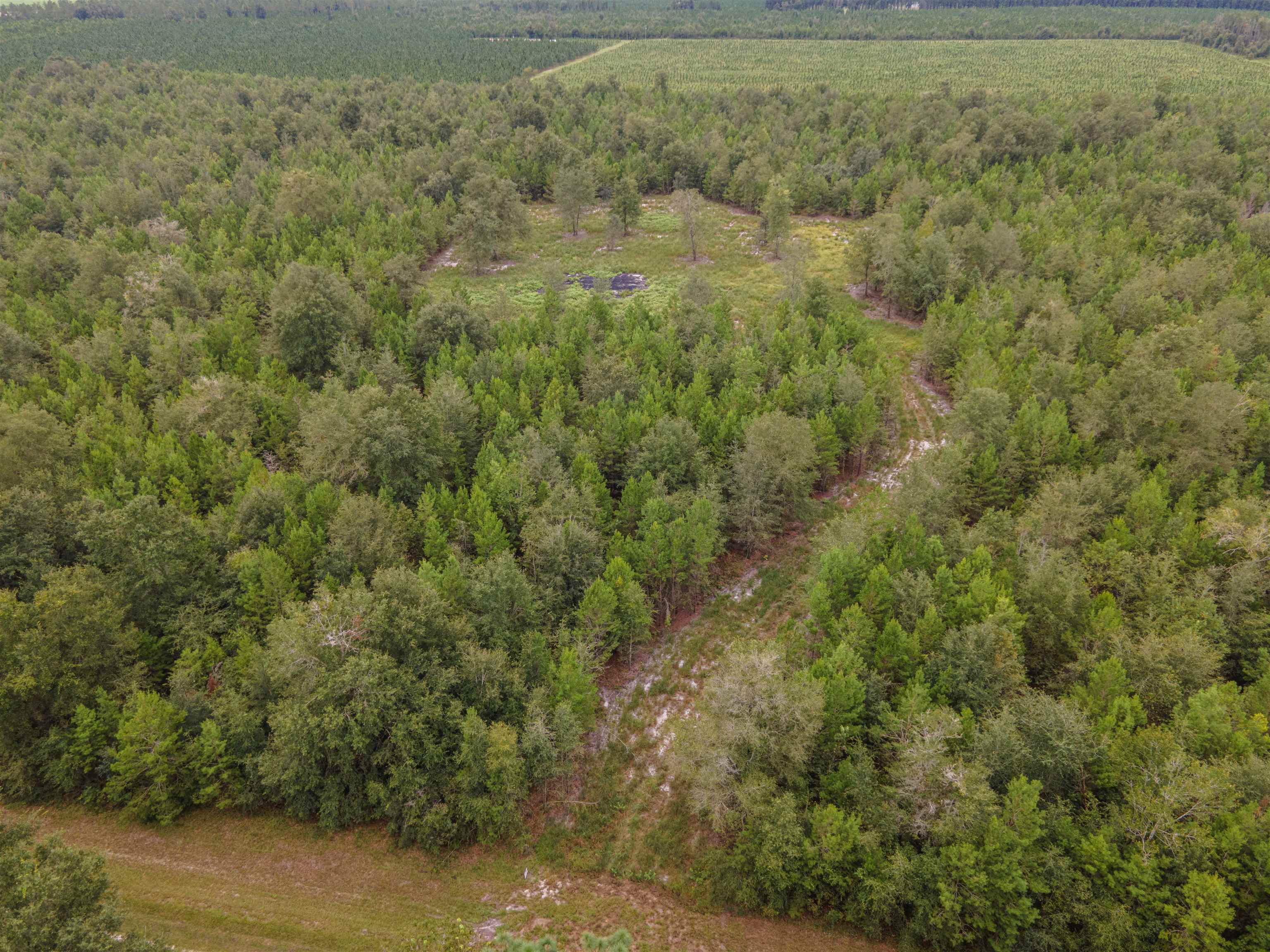 20 AC SE Parliament Trail, Lee, Florida image 6