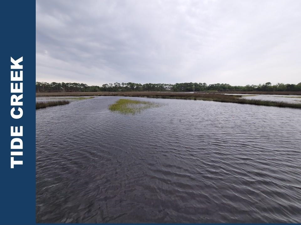 LOT 24 Leap Frog Lane #-, PANACEA, Florida image 19