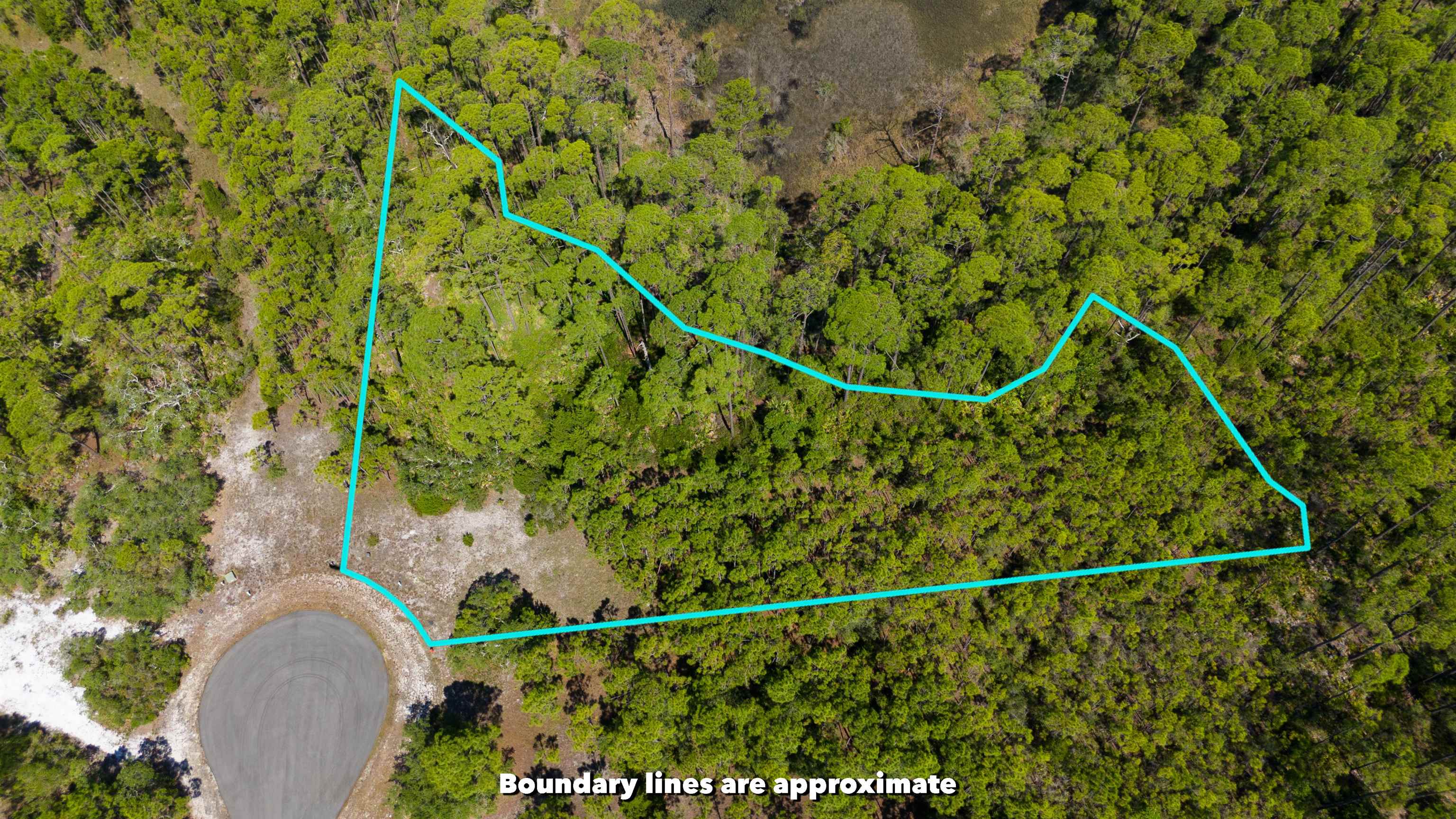 LOT 24 Leap Frog Lane #-, PANACEA, Florida image 2