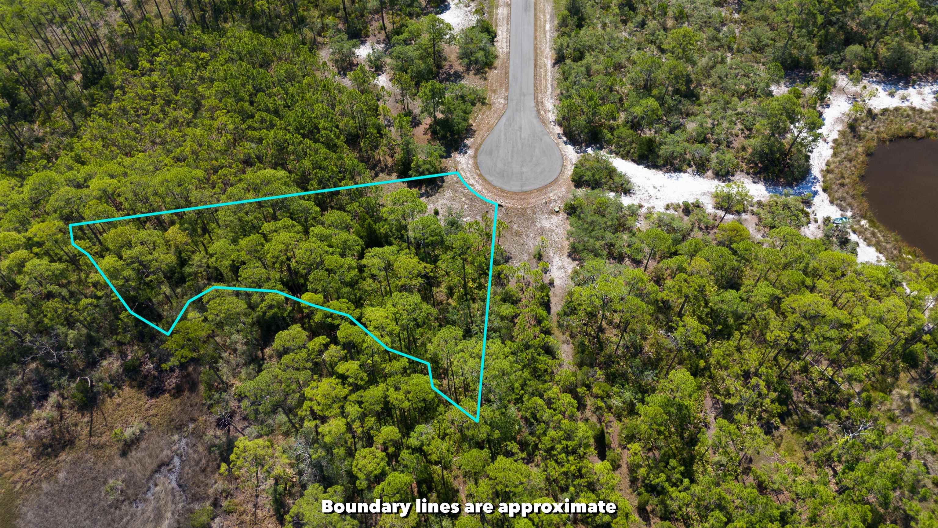 LOT 24 Leap Frog Lane #-, PANACEA, Florida image 3