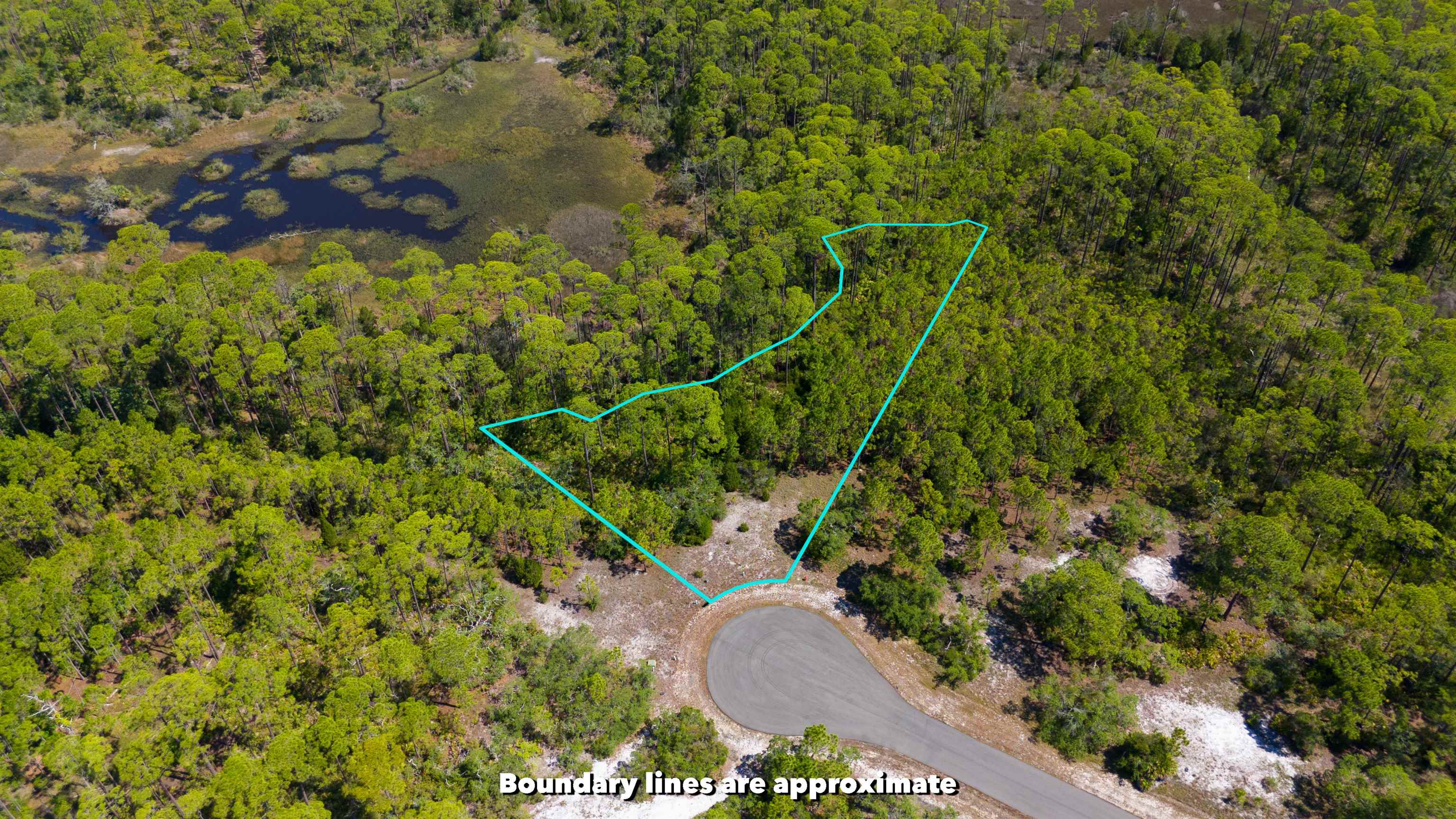 LOT 24 Leap Frog Lane #-, PANACEA, Florida image 4