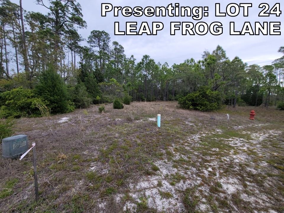 LOT 24 Leap Frog Lane #-, PANACEA, Florida image 5