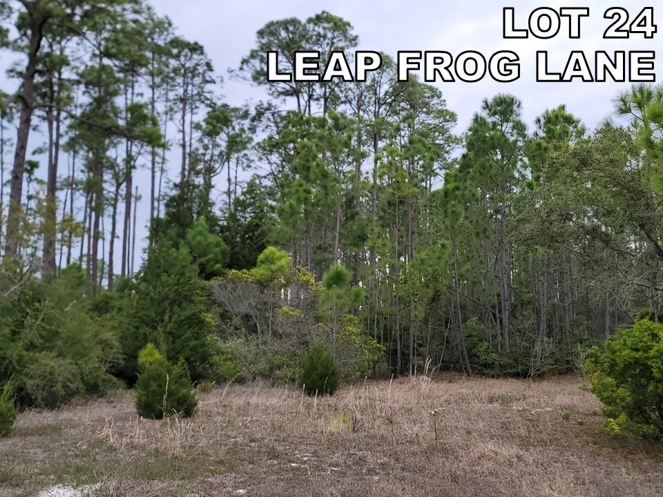 LOT 24 Leap Frog Lane #-, PANACEA, Florida image 8