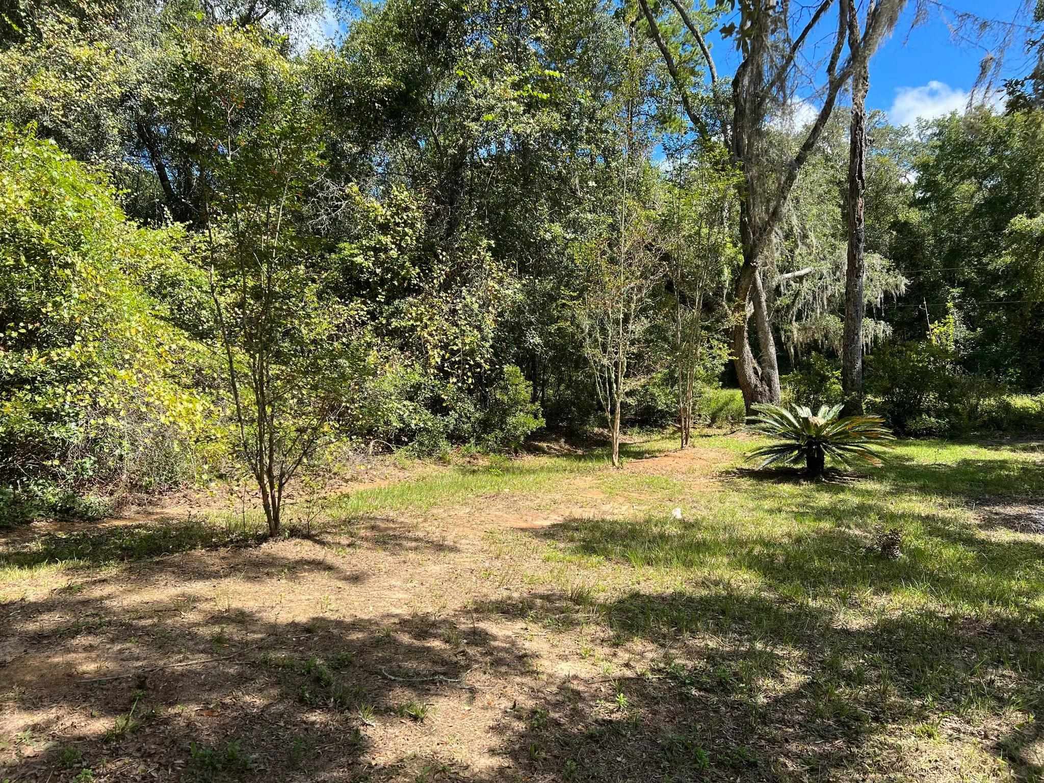 120 E First Place, Greenville, Florida image 13