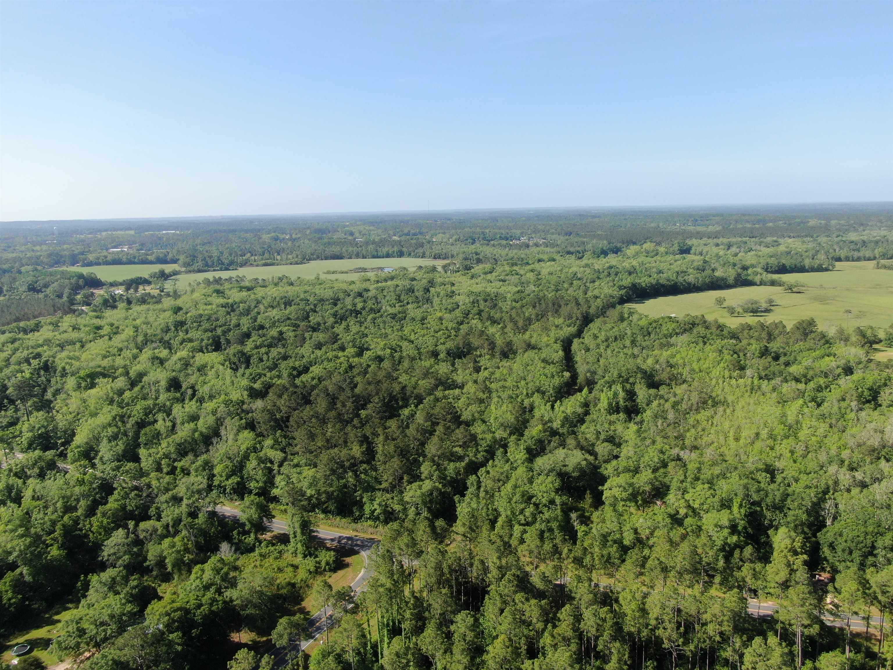 1665 Old Bonifay Road, Chipley, Florida image 2