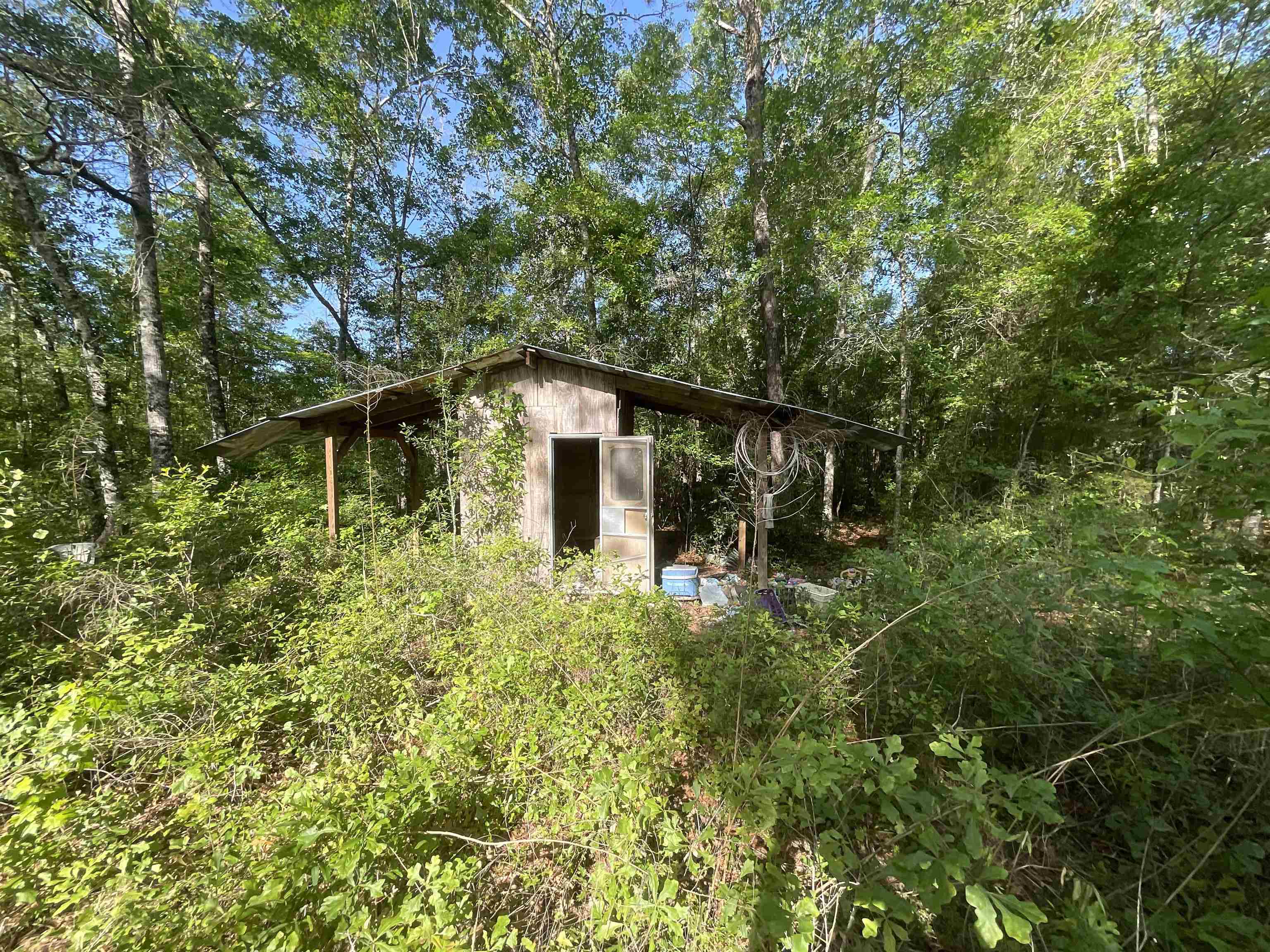 1665 Old Bonifay Road, Chipley, Florida image 30