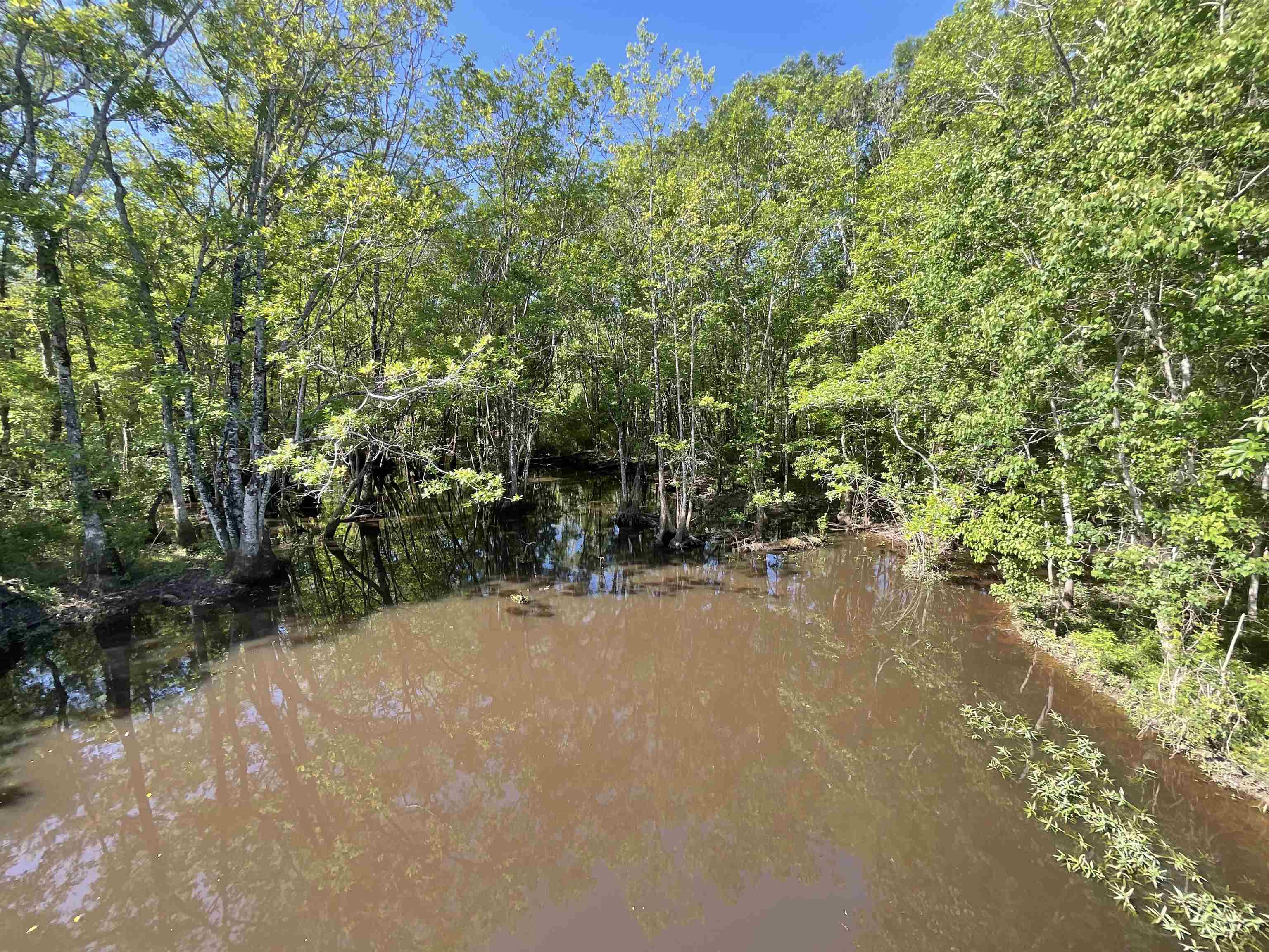 1665 Old Bonifay Road, Chipley, Florida image 32