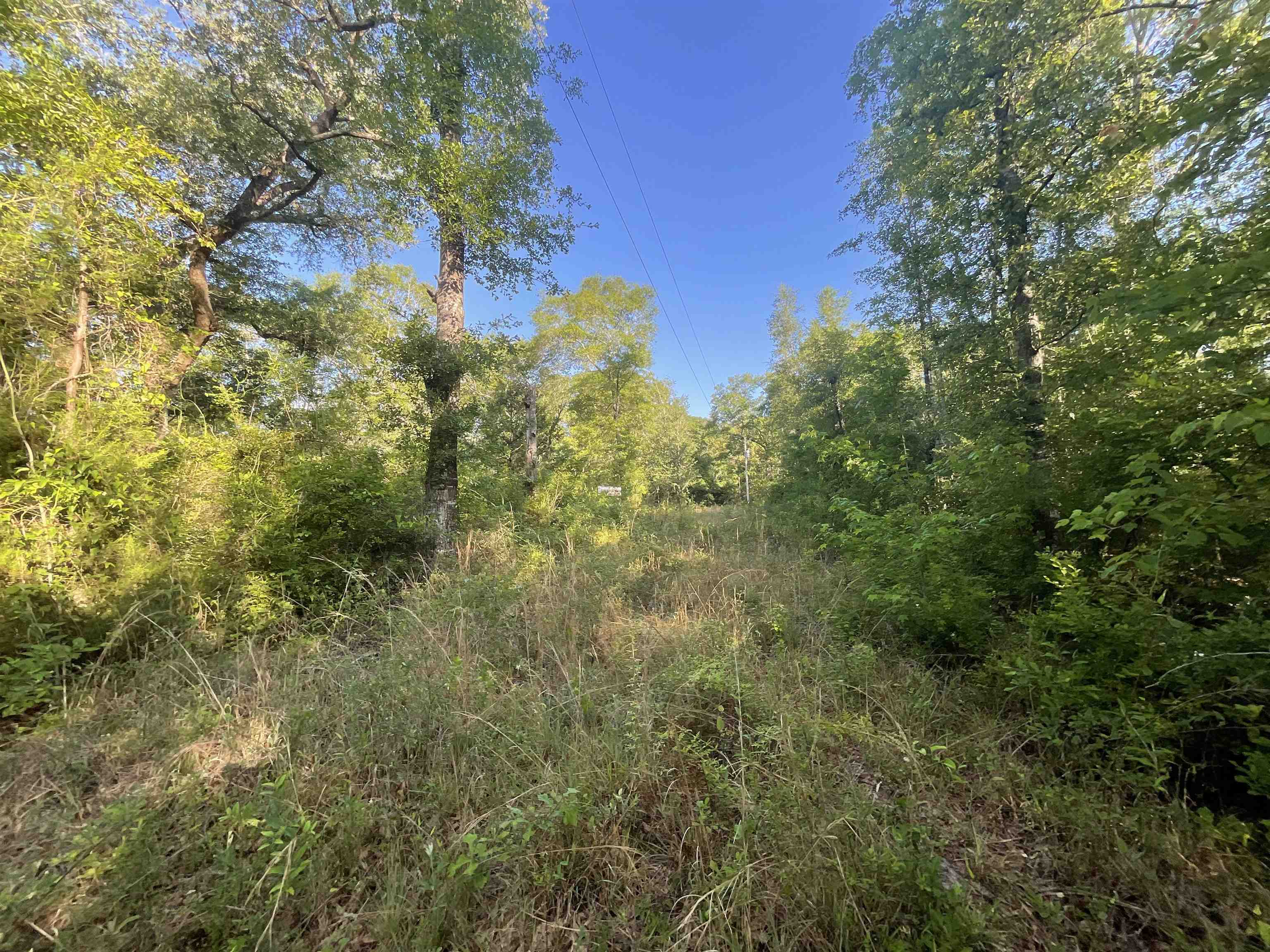 1665 Old Bonifay Road, Chipley, Florida image 37