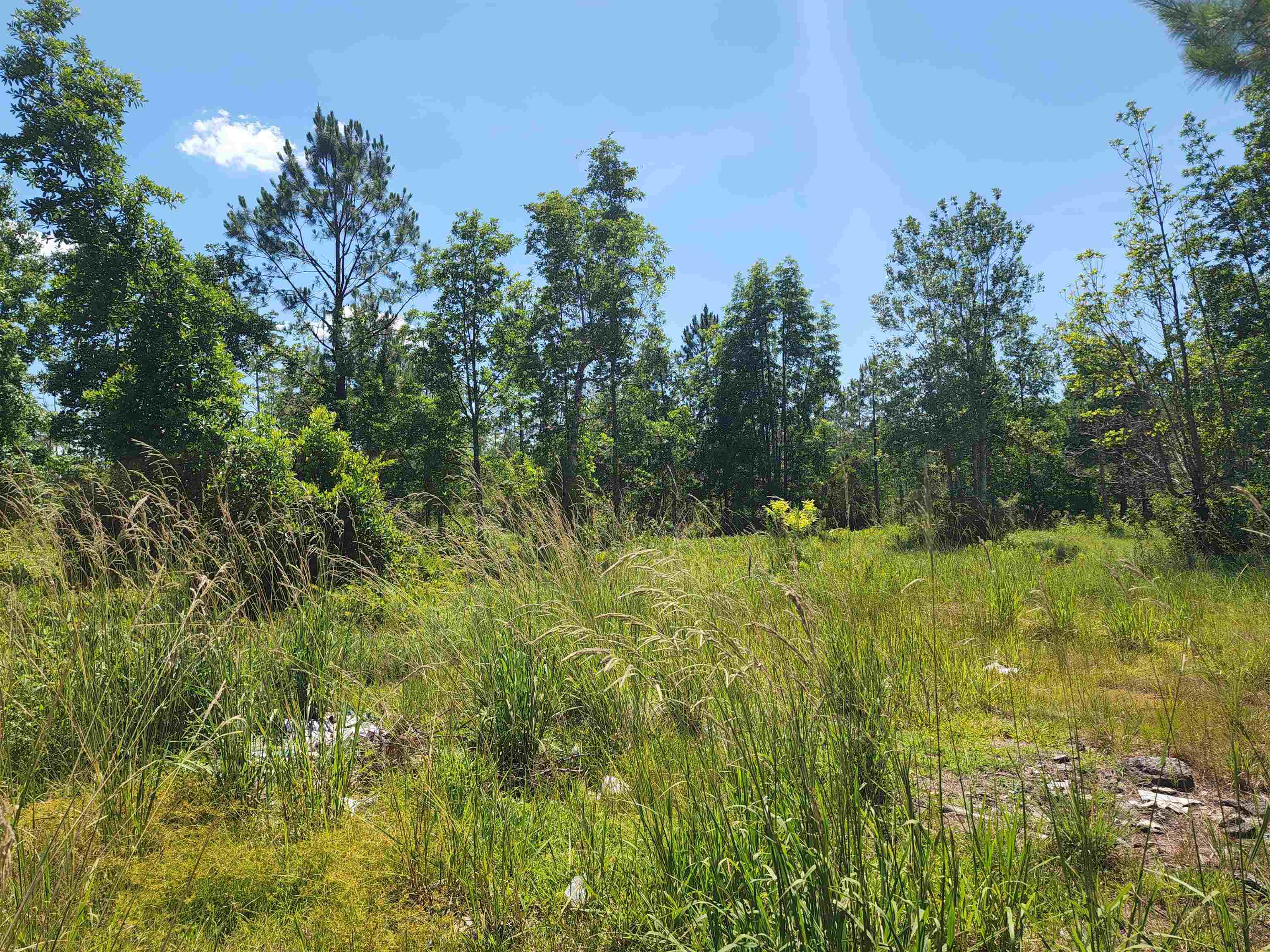 8719 Connector Road, Perry, Florida image 11